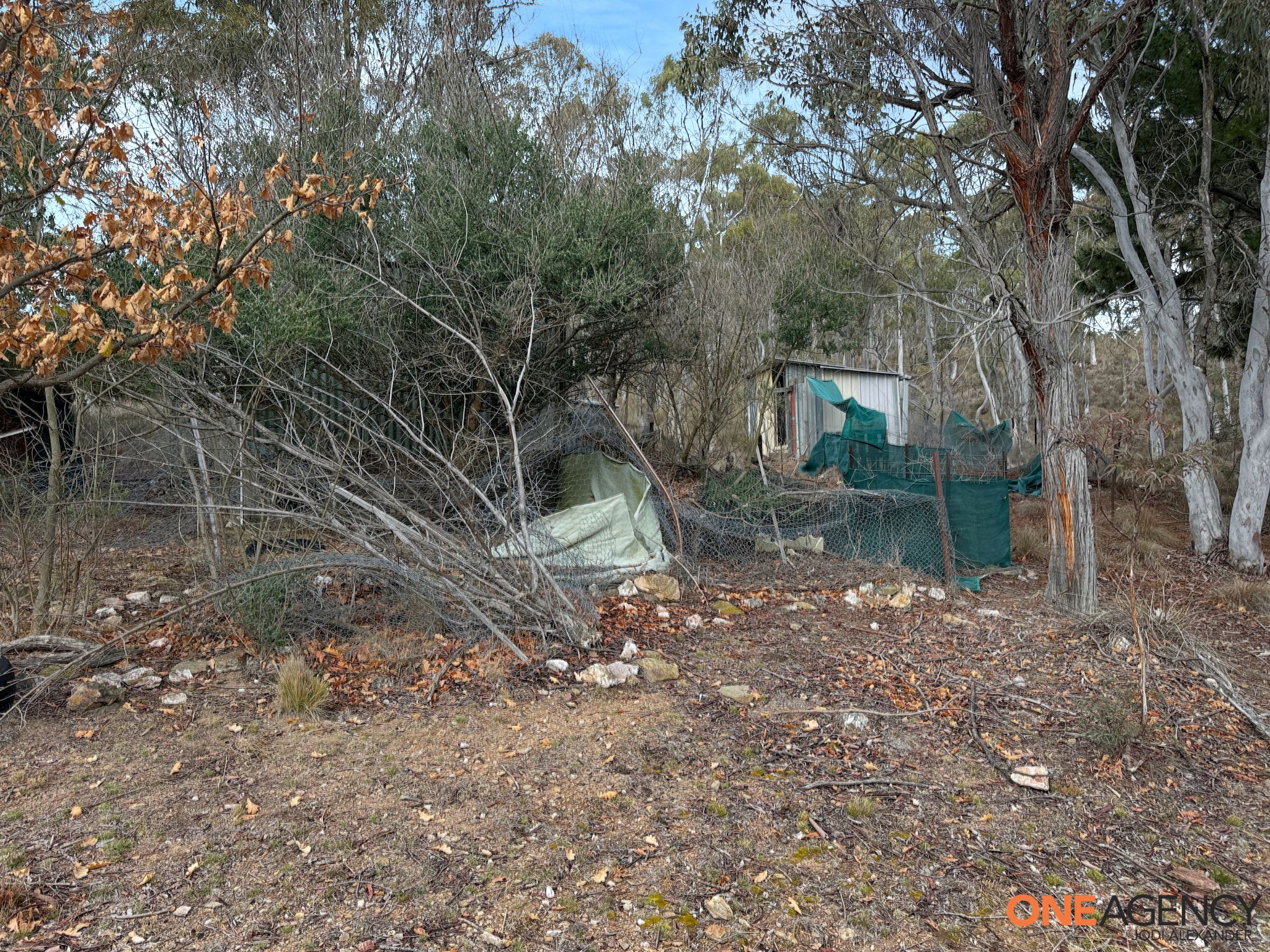 20 Good Good Road, Jerangle For Sale by Farmbuy.com - image 24