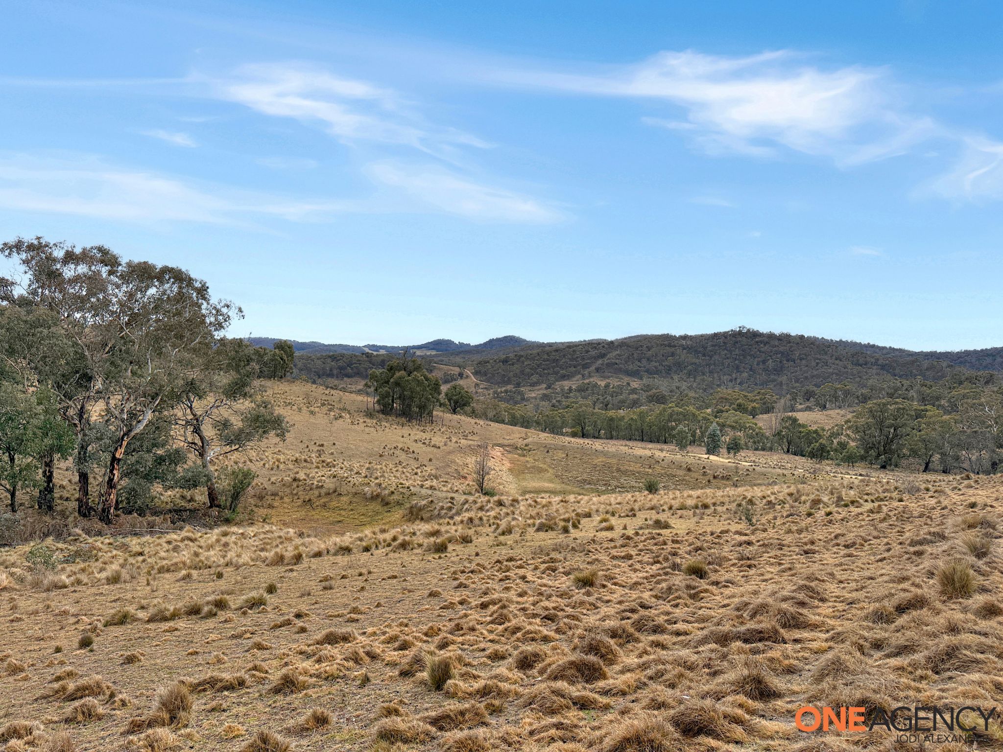 20 Good Good Road, Jerangle For Sale by Farmbuy.com - image 2