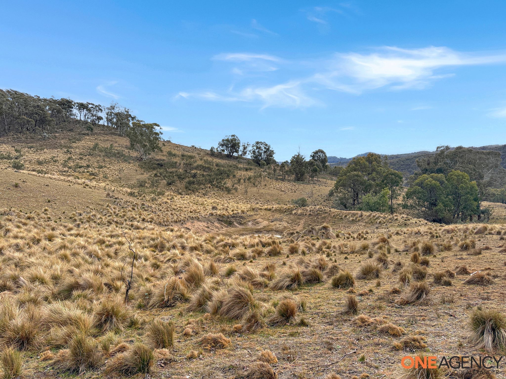 20 Good Good Road, Jerangle For Sale by Farmbuy.com - image 27