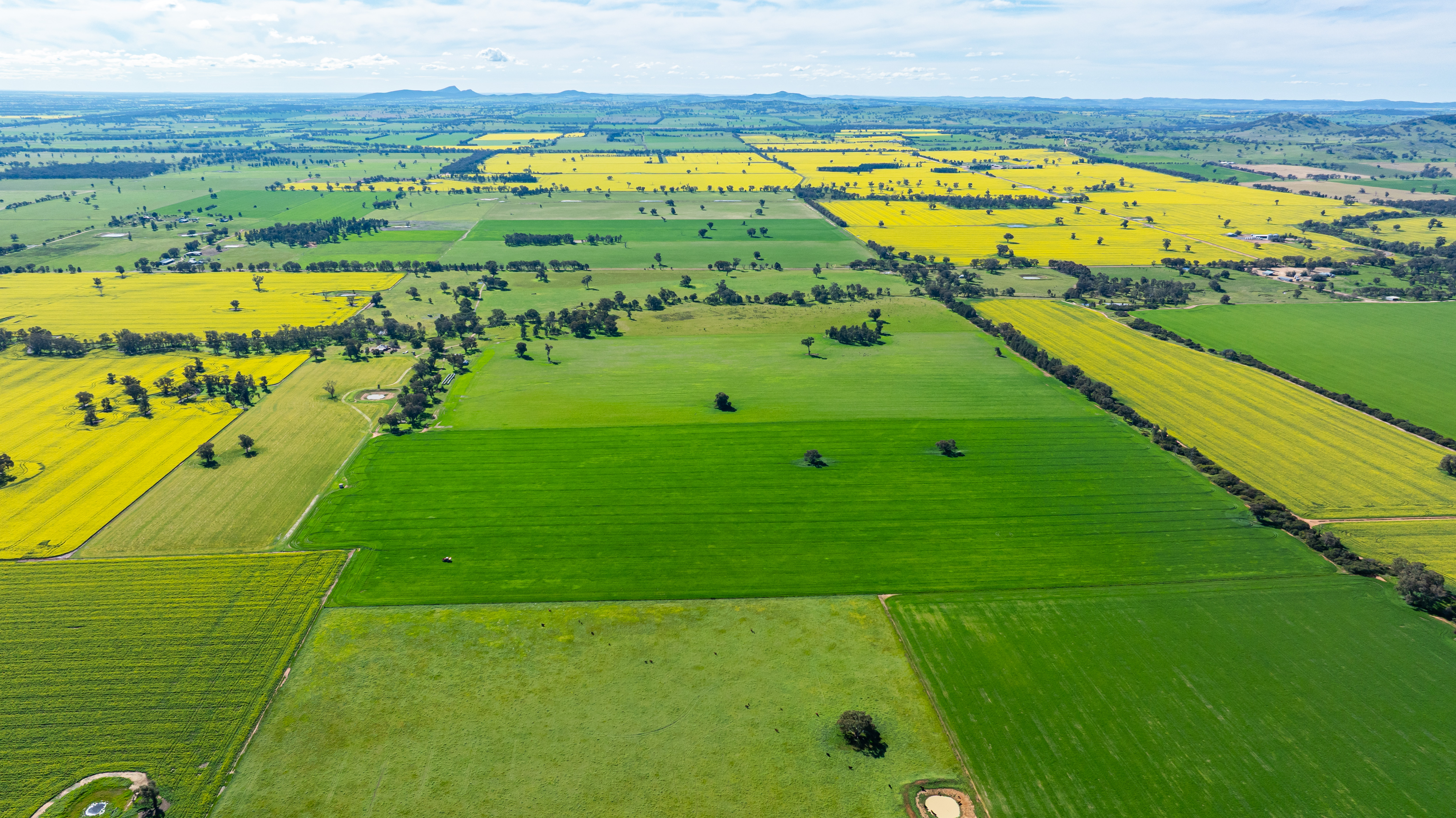 312 Merri Meric Road, Henty For Sale by Farmbuy.com - image 3