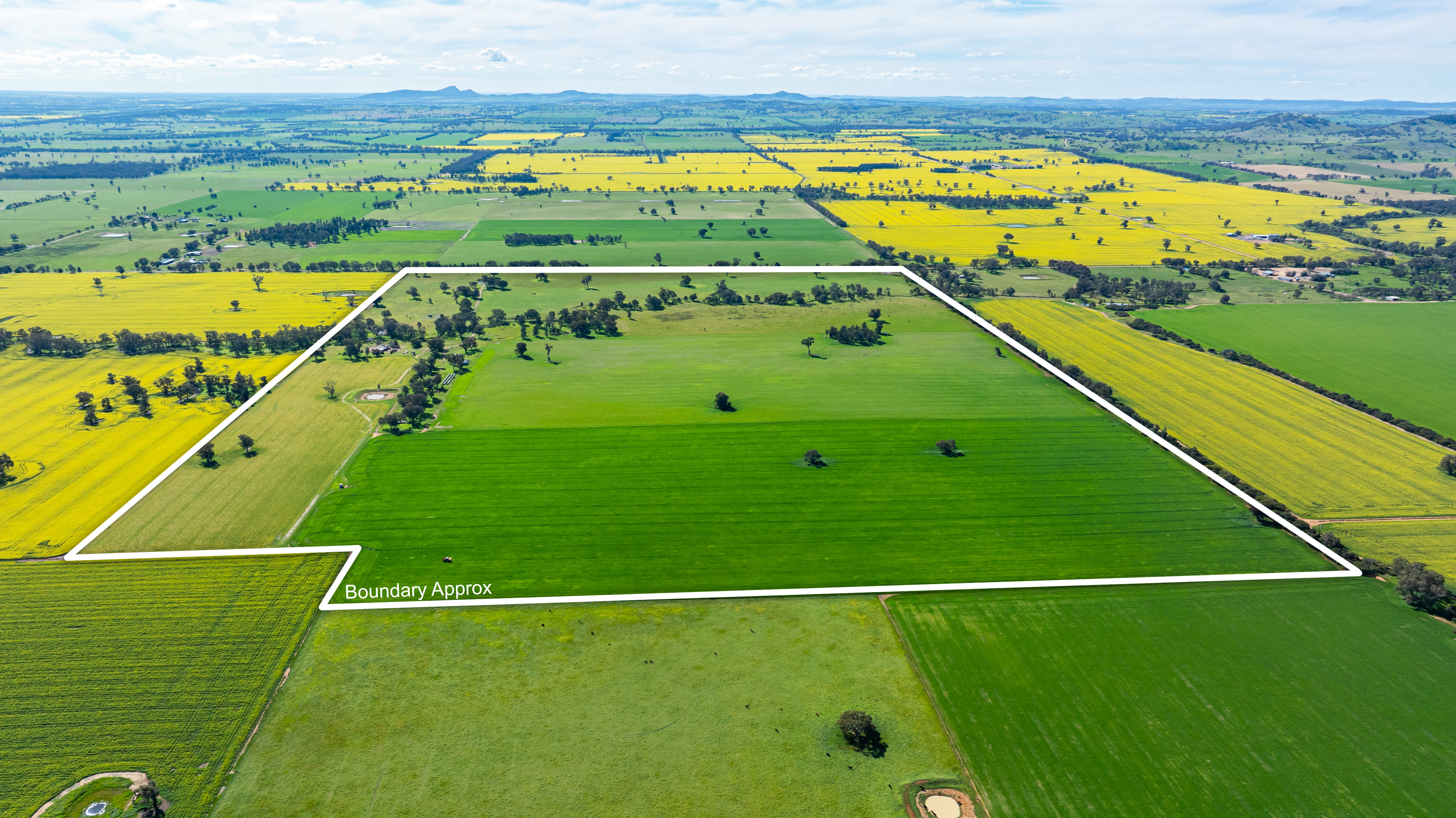 312 Merri Meric Road, Henty For Sale by Farmbuy.com - image 2
