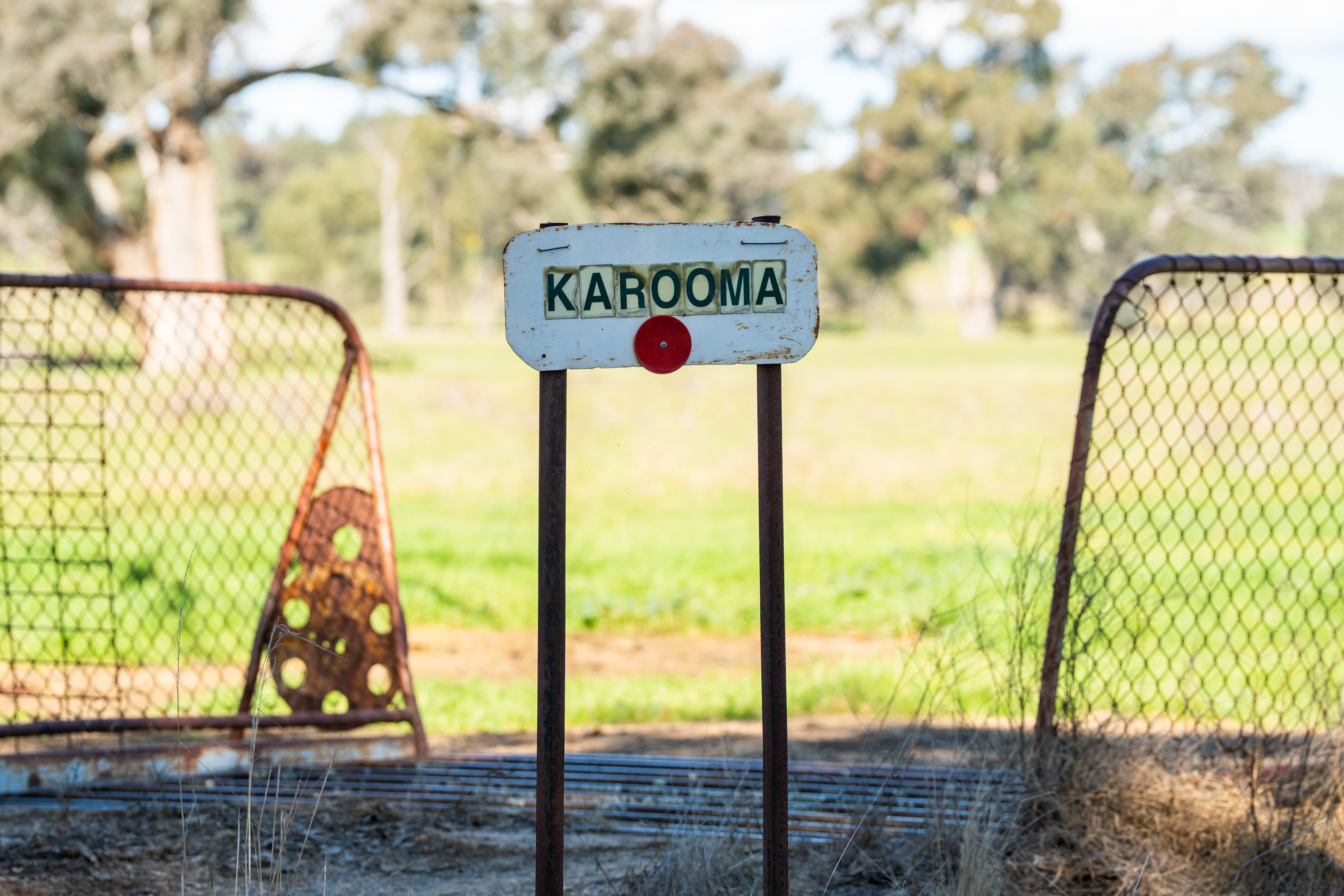 Farm For Sale - NSW - Henty - 2658 - GENUINE MIXED FARMING COUNTRY WITH SCOPE 