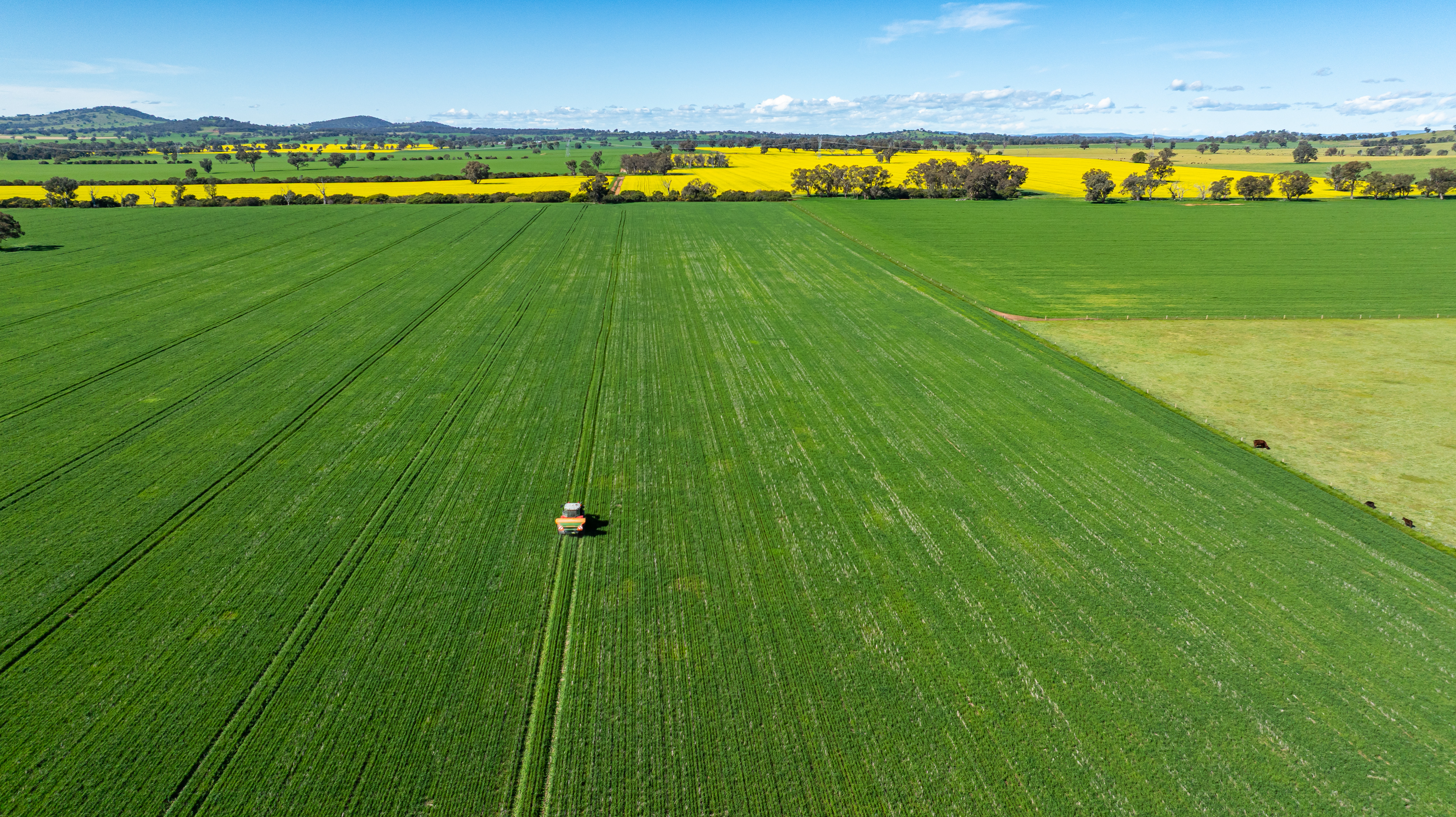 312 Merri Meric Road, Henty For Sale by Farmbuy.com - image 5