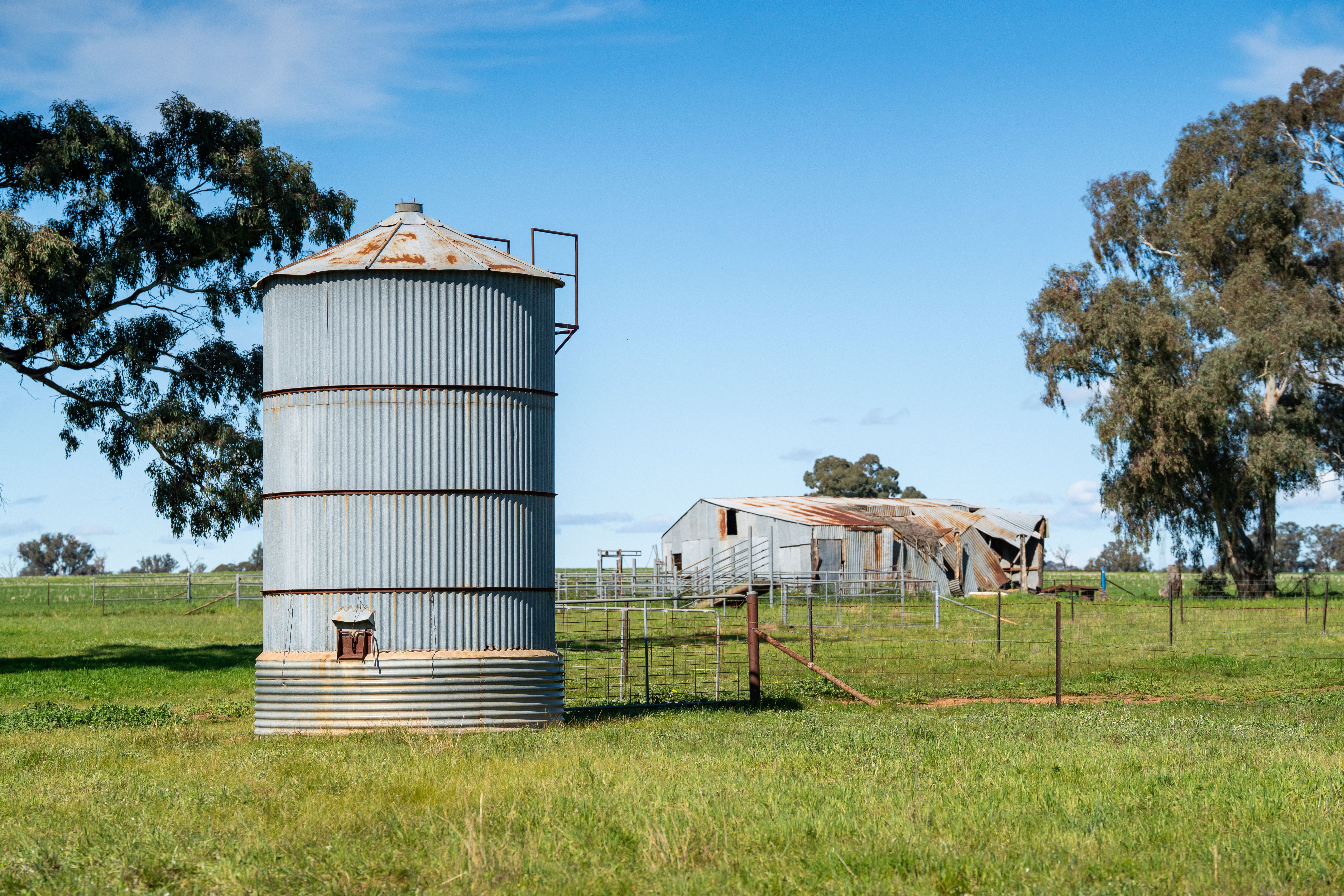 312 Merri Meric Road, Henty For Sale by Farmbuy.com - image 23