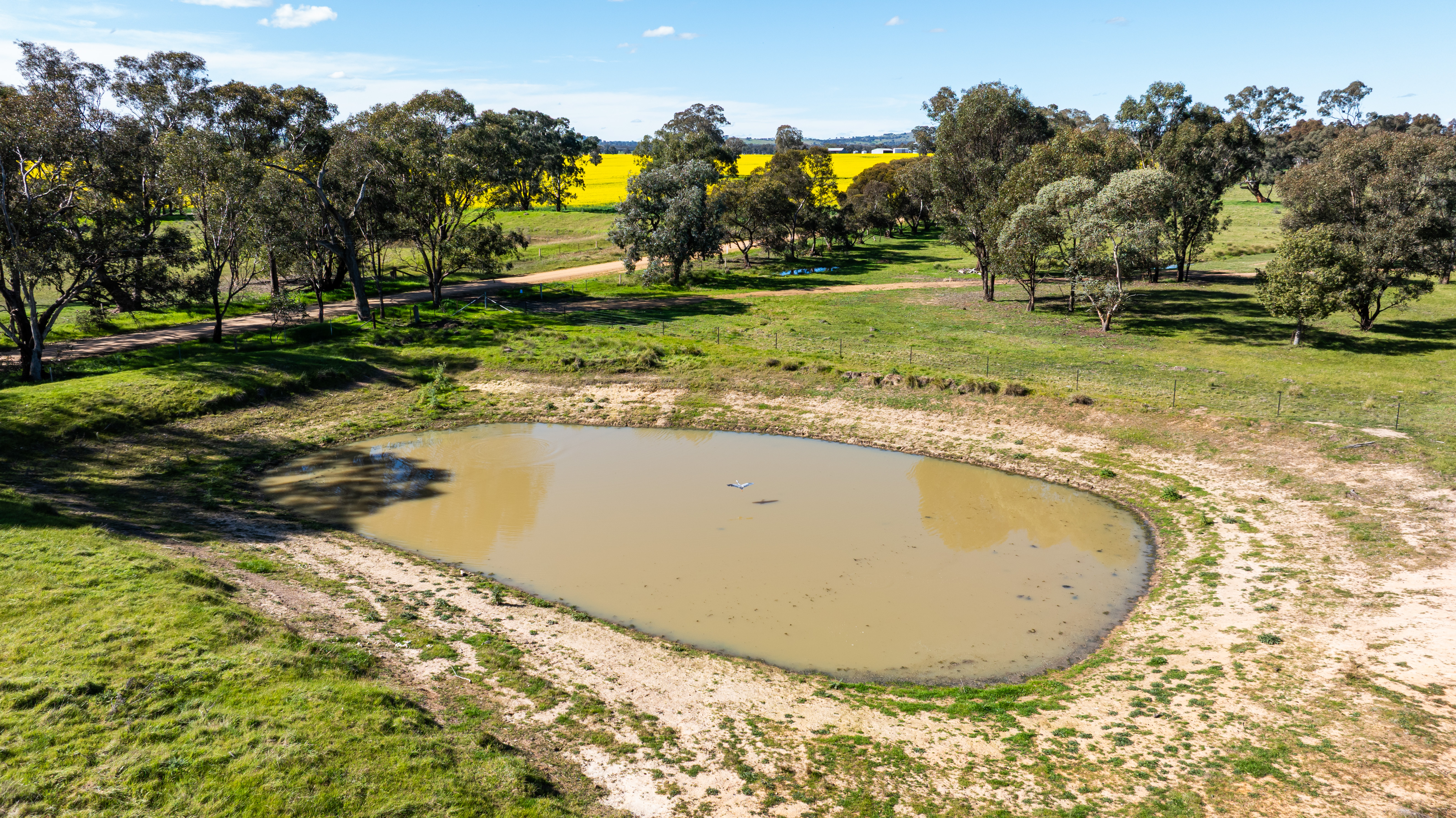 312 Merri Meric Road, Henty For Sale by Farmbuy.com - image 14