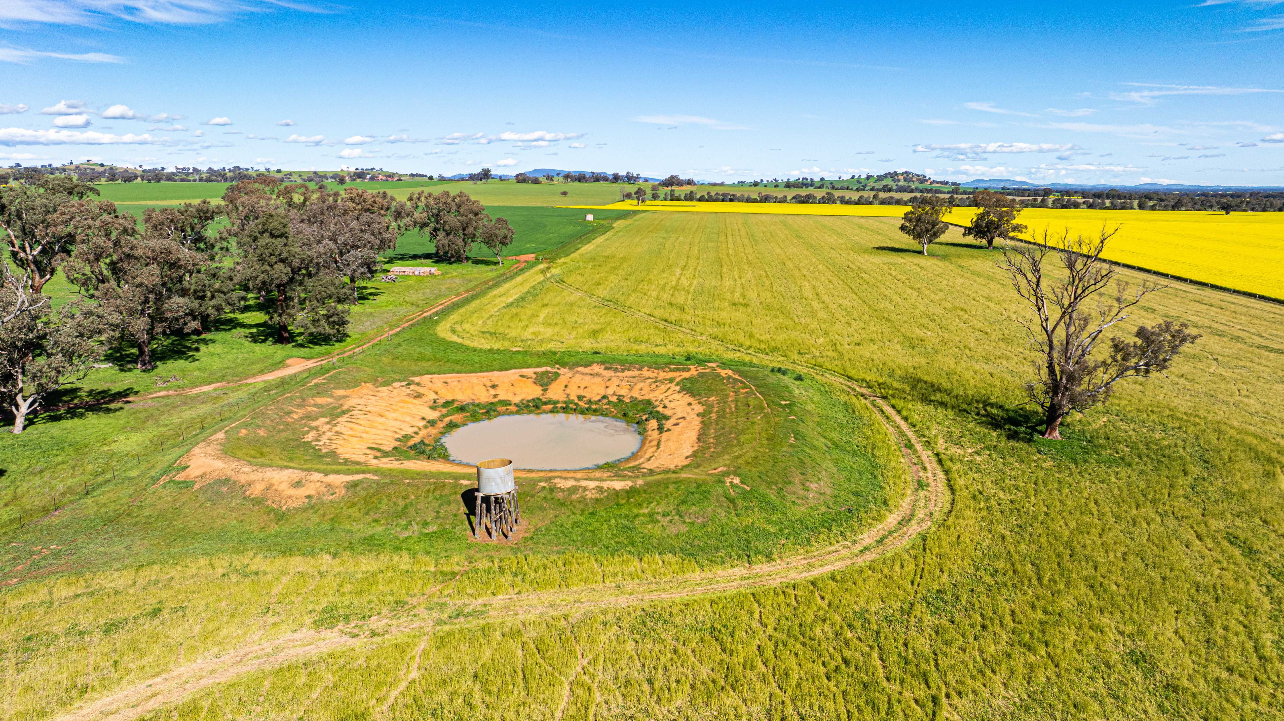 312 Merri Meric Road, Henty For Sale by Farmbuy.com - image 13