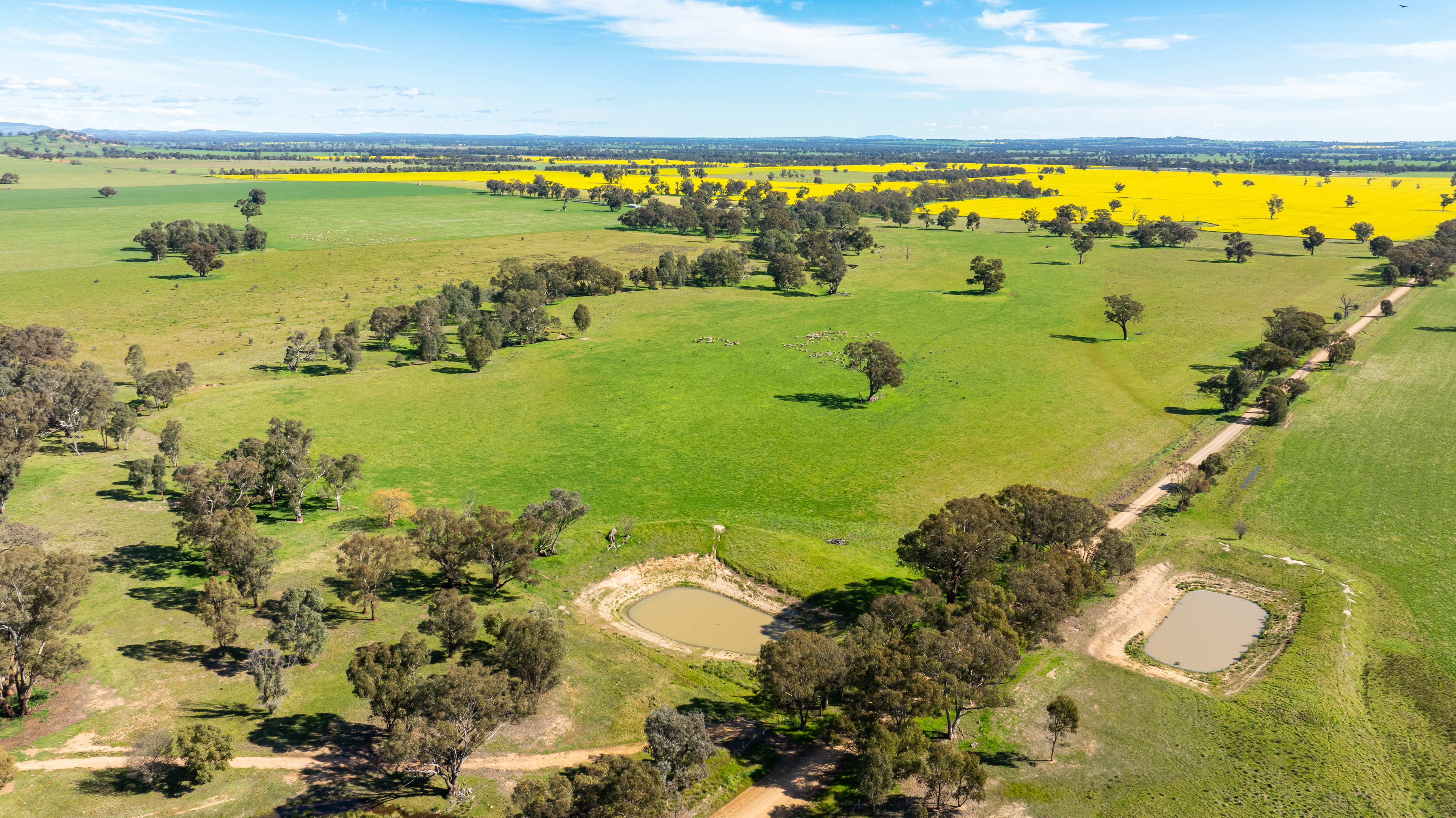 312 Merri Meric Road, Henty For Sale by Farmbuy.com - image 12