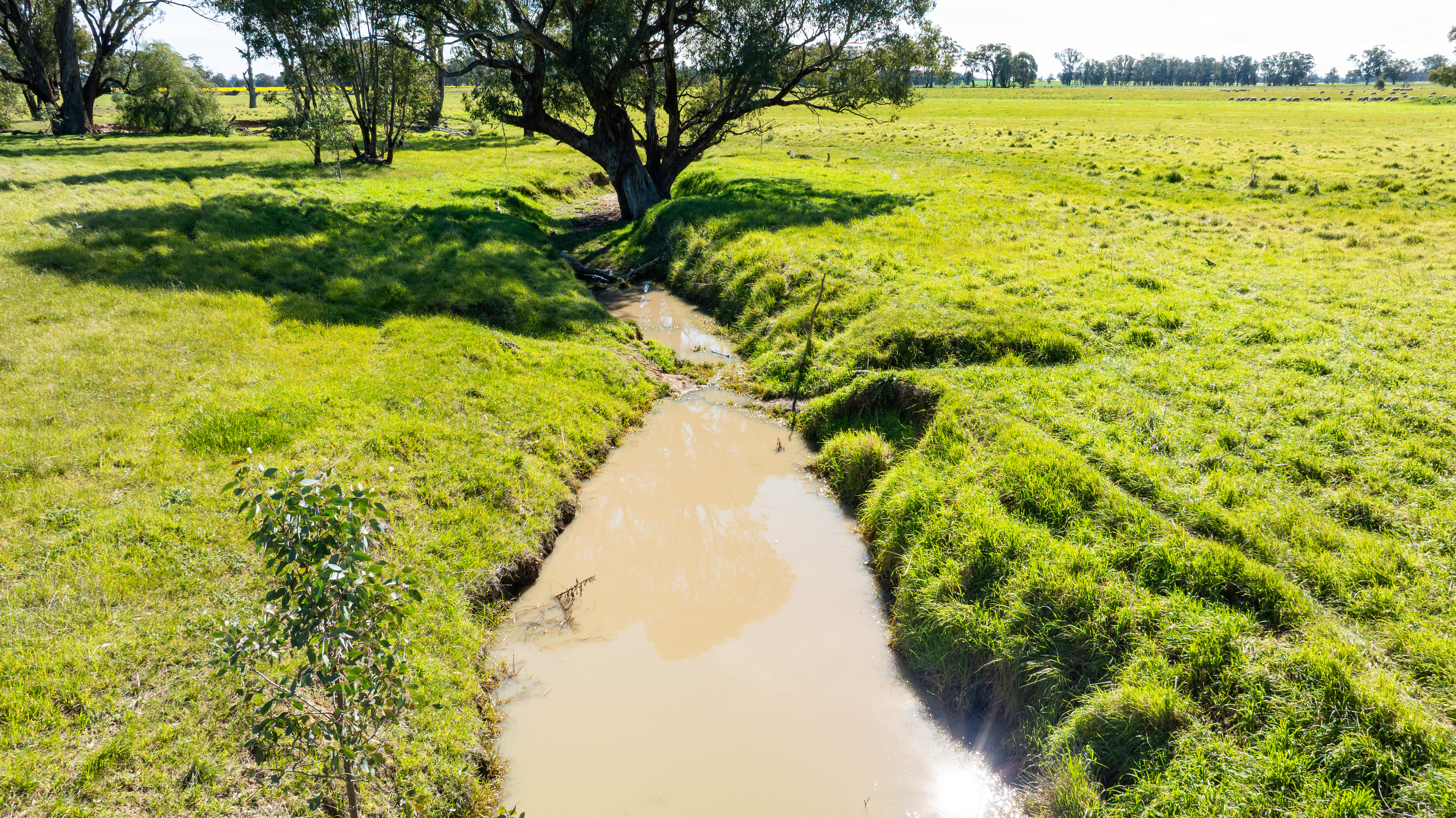 312 Merri Meric Road, Henty For Sale by Farmbuy.com - image 15