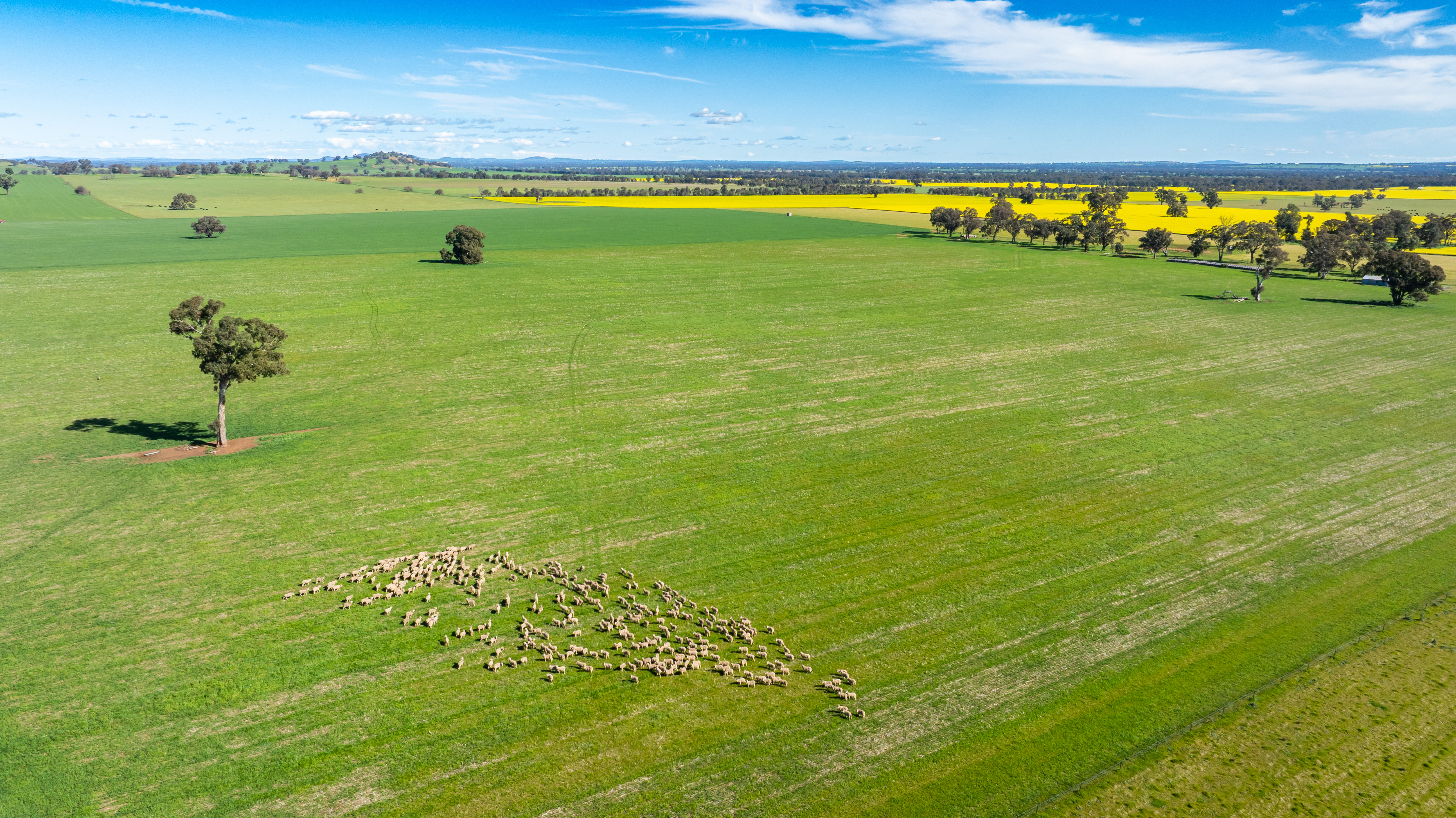 312 Merri Meric Road, Henty For Sale by Farmbuy.com - image 20