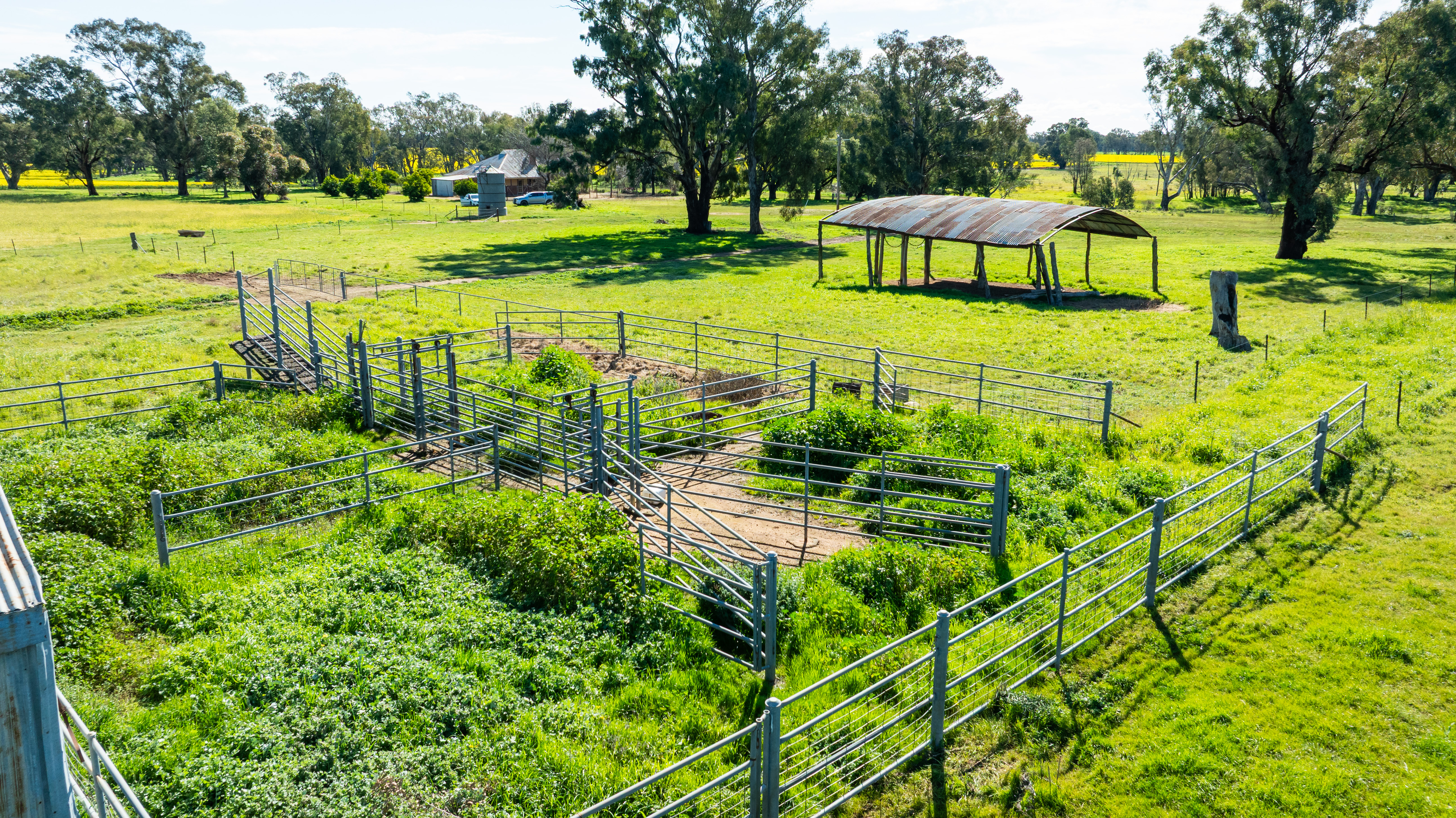 312 Merri Meric Road, Henty For Sale by Farmbuy.com - image 22