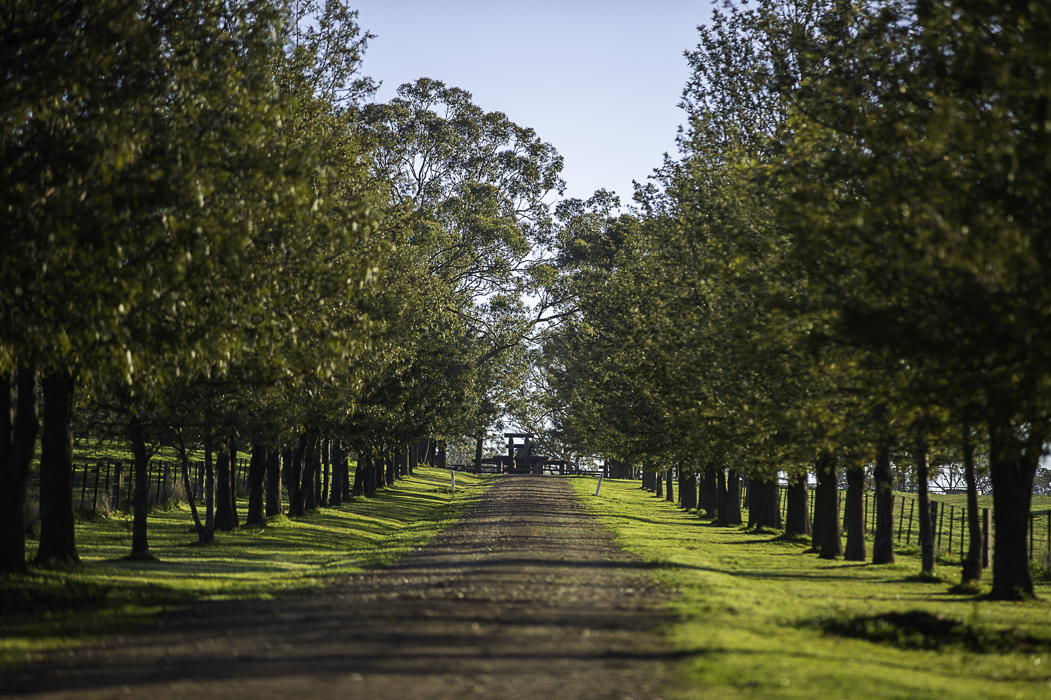 7128 Golden Highway, Merriwa For Sale by Farmbuy.com - image 17