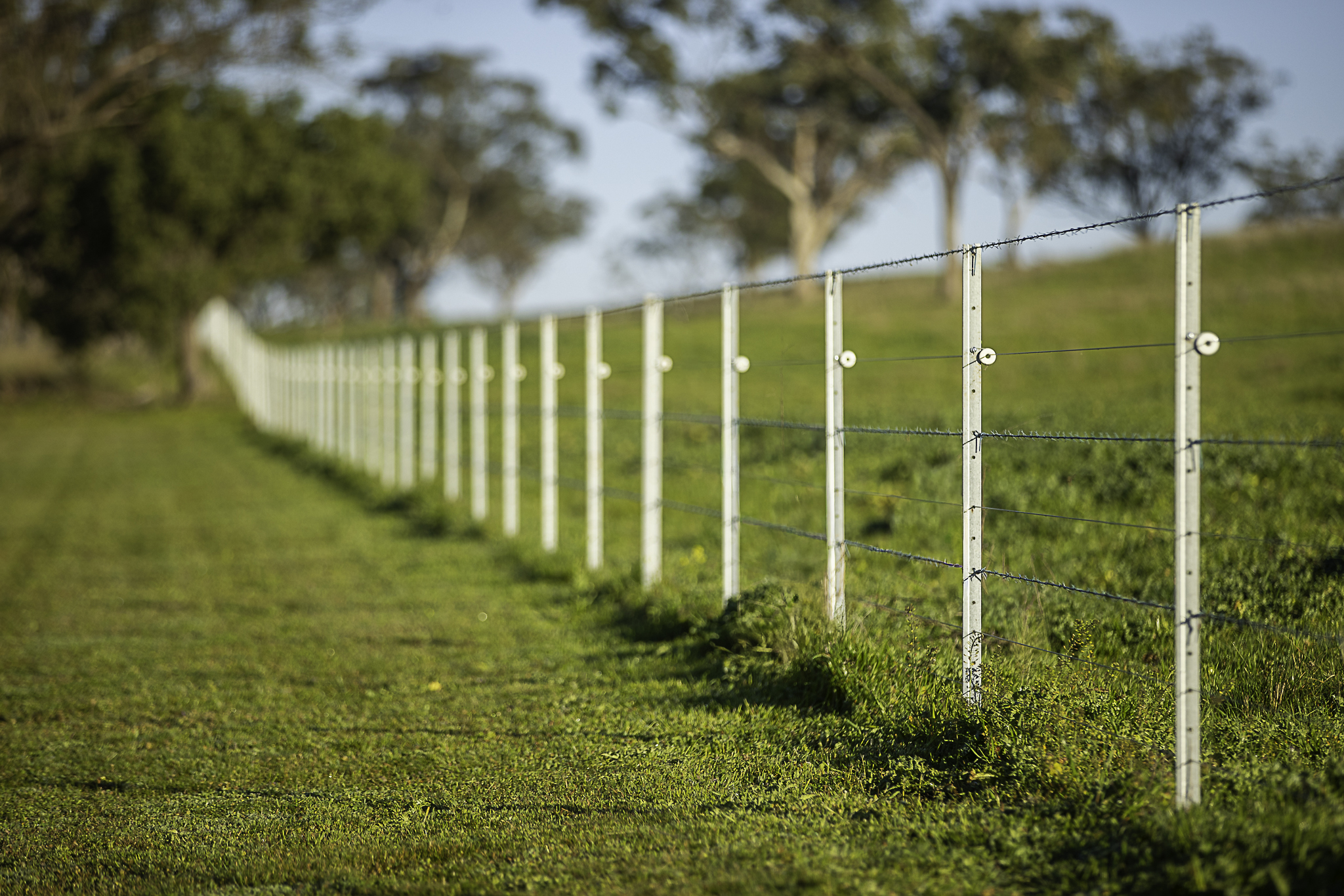 7128 Golden Highway, Merriwa For Sale by Farmbuy.com - image 18