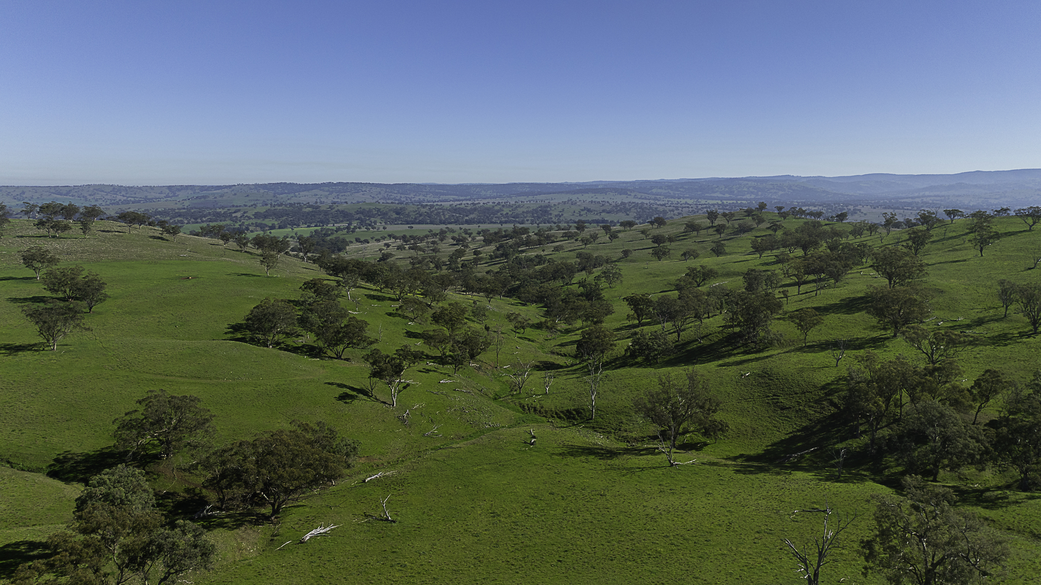 7128 Golden Highway, Merriwa For Sale by Farmbuy.com - image 20