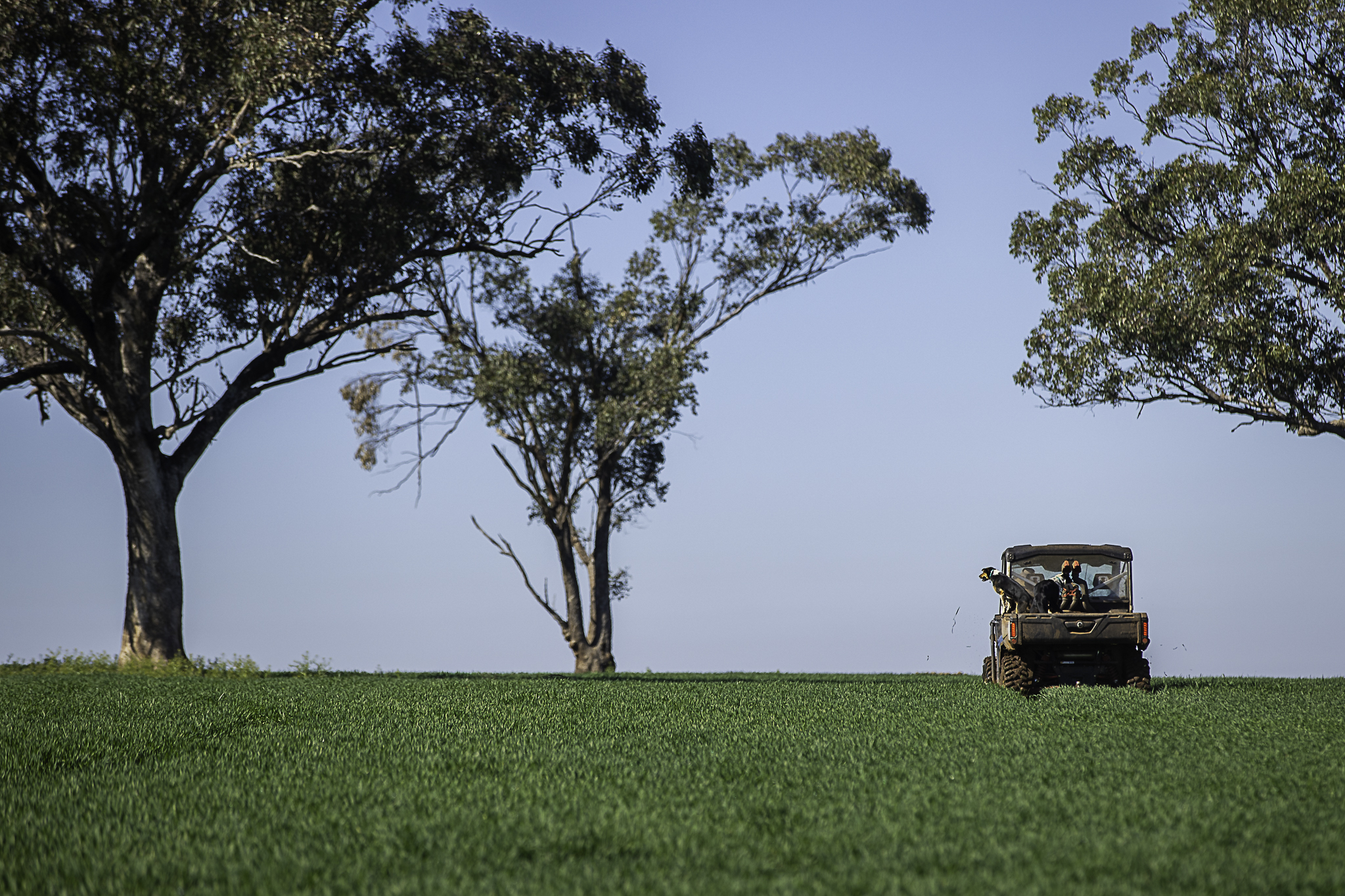 7128 Golden Highway, Merriwa For Sale by Farmbuy.com - image 22