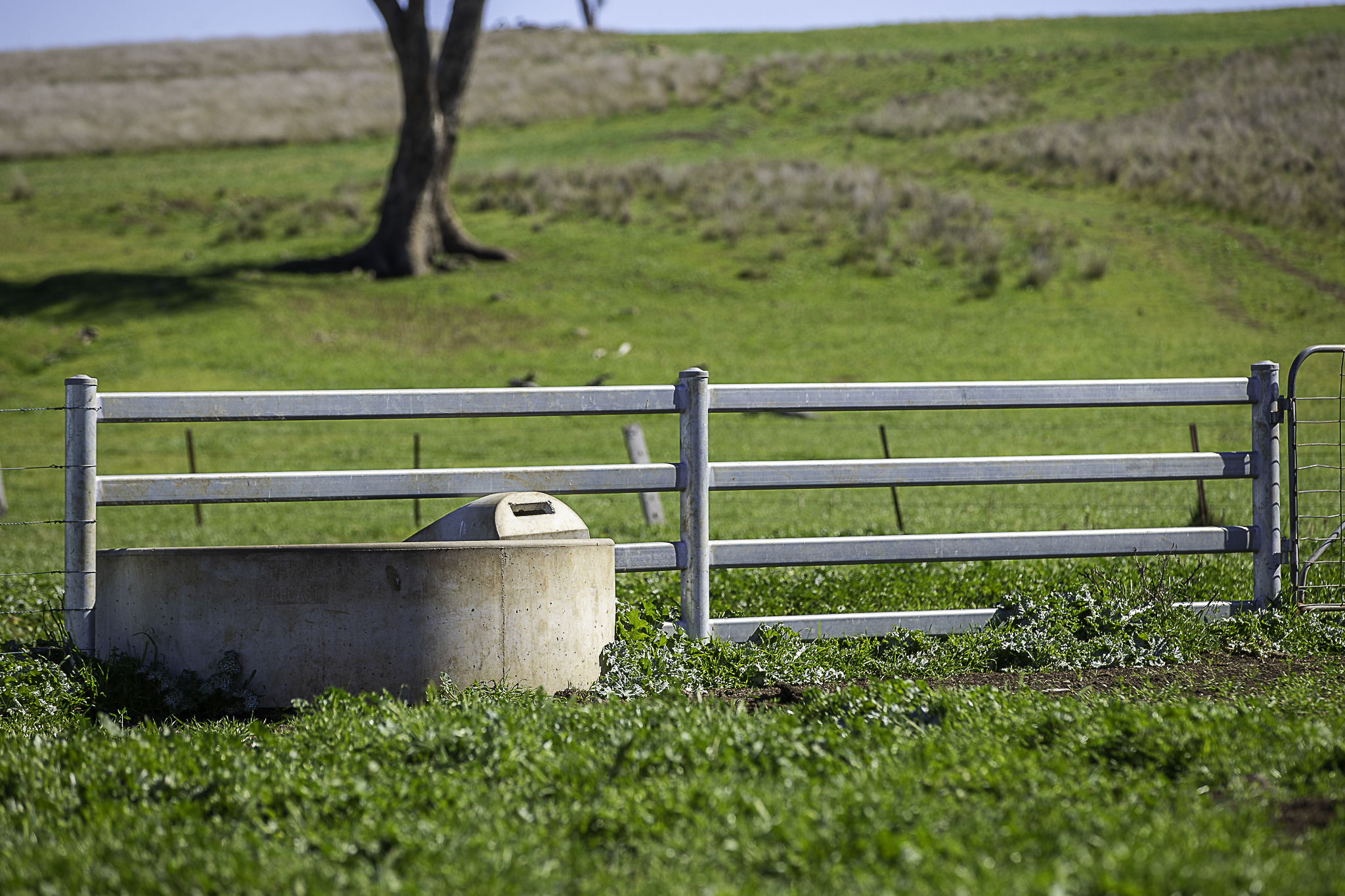 7128 Golden Highway, Merriwa For Sale by Farmbuy.com - image 23