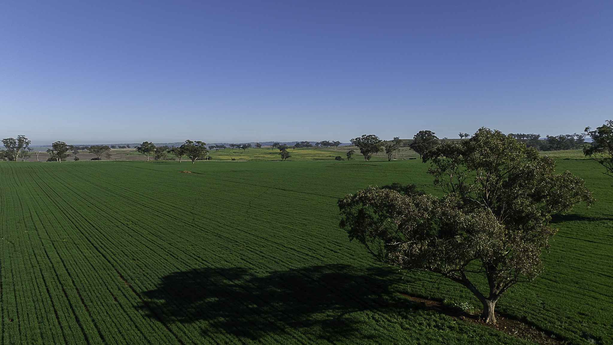 7128 Golden Highway, Merriwa For Sale by Farmbuy.com - image 26