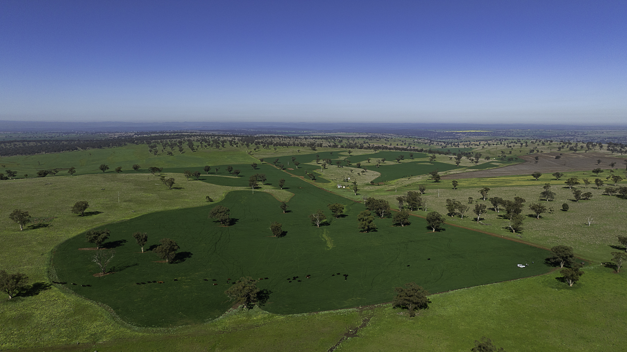 7128 Golden Highway, Merriwa For Sale by Farmbuy.com - image 21