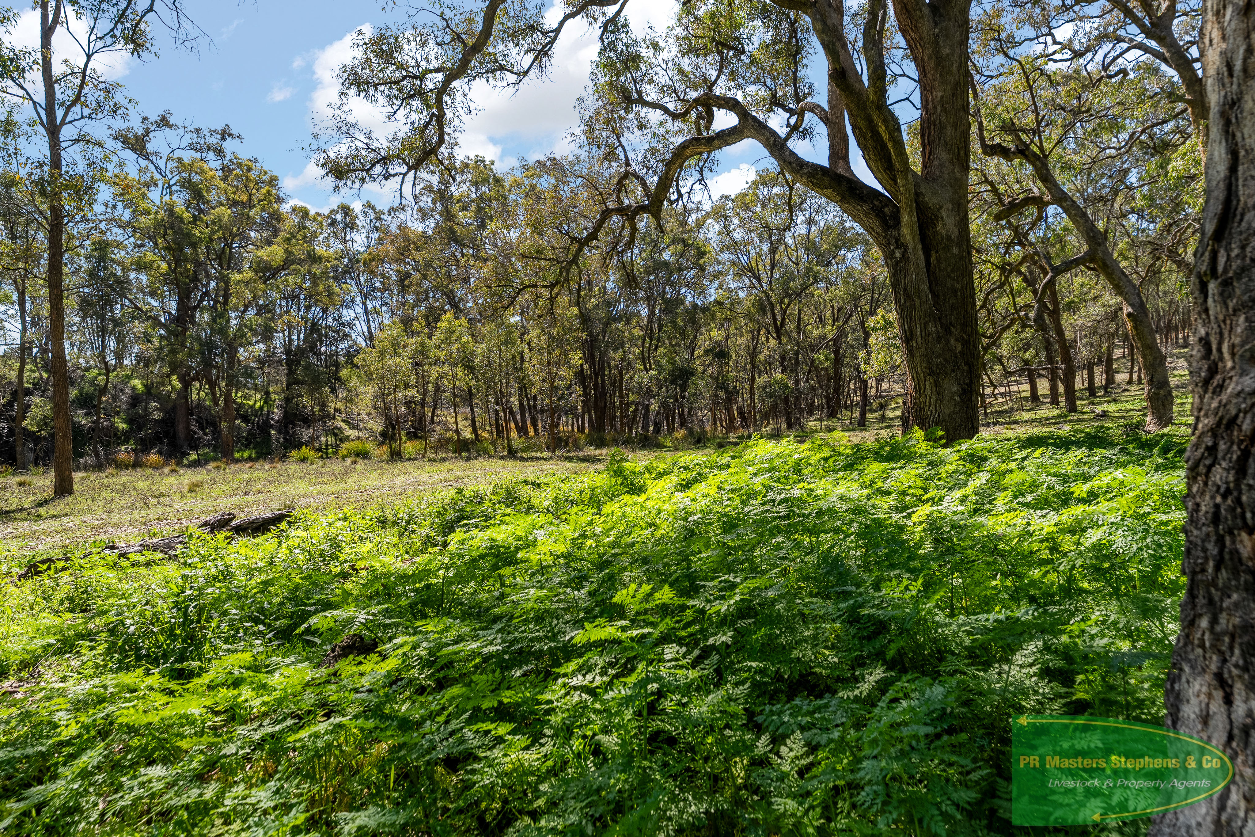 728 The Bridle Track, Duramana For Sale by Farmbuy.com - image 26