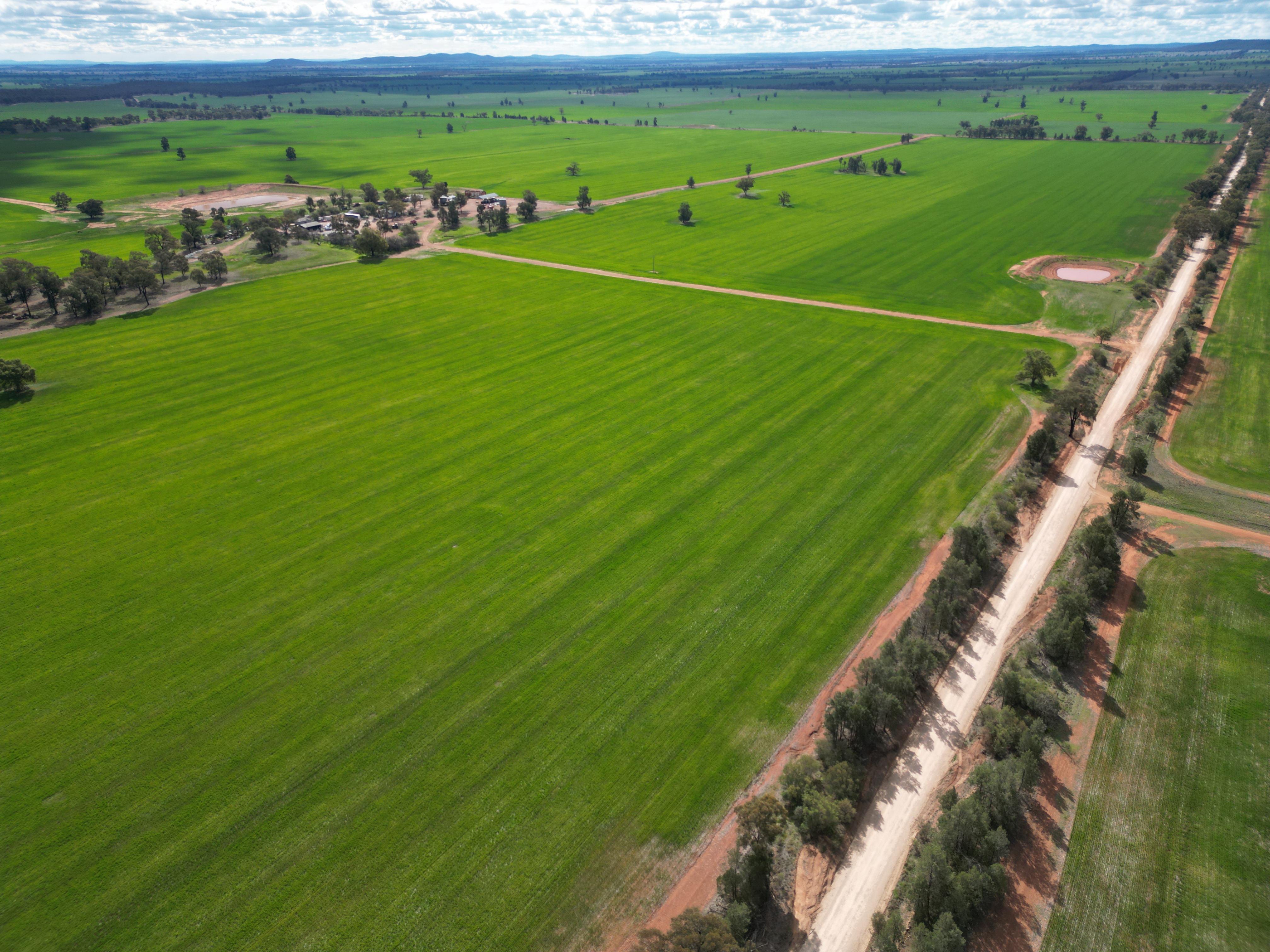 1100 Jillett Road, Ardlethan NSW 2665