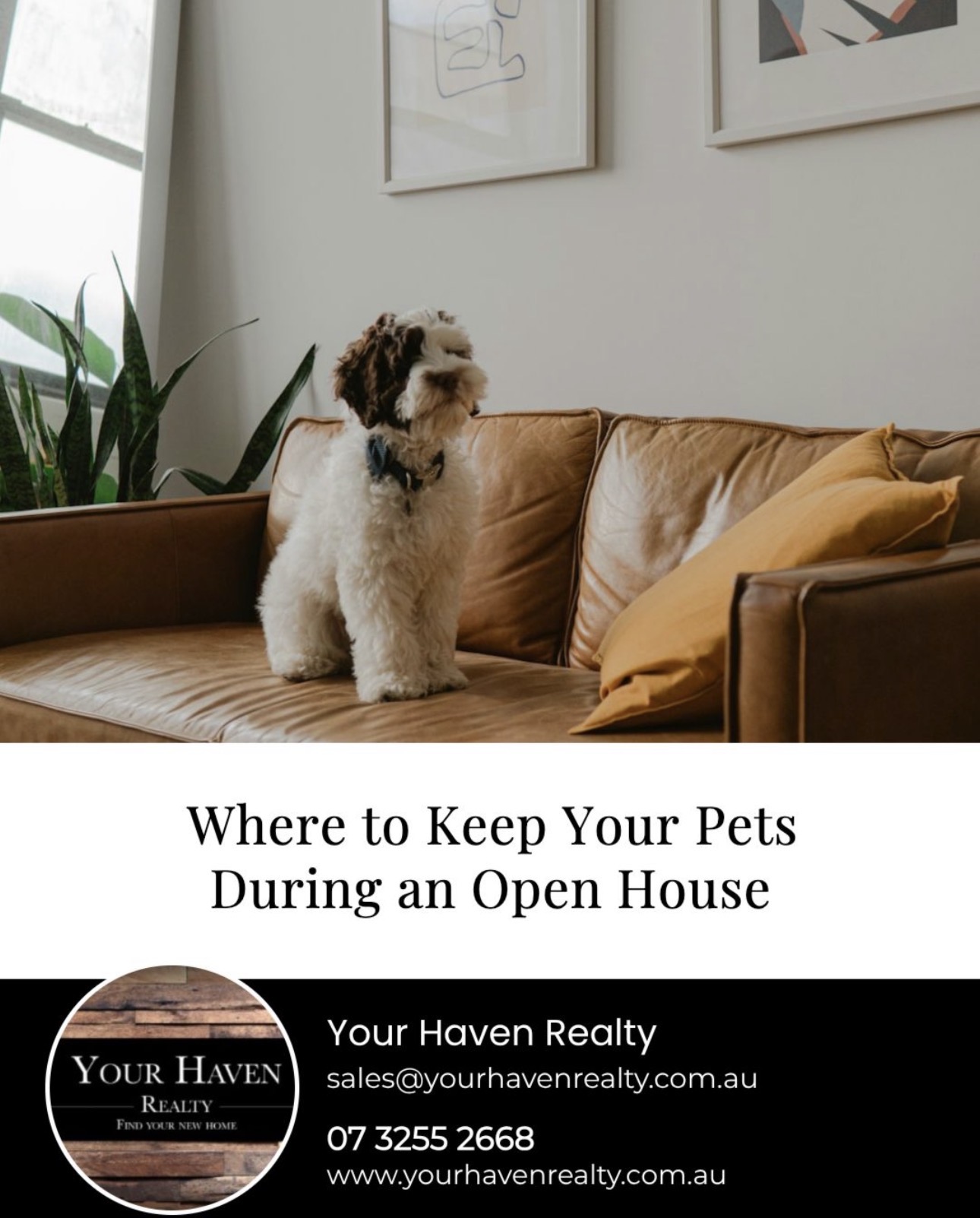 Where to keep your pets during an open house!