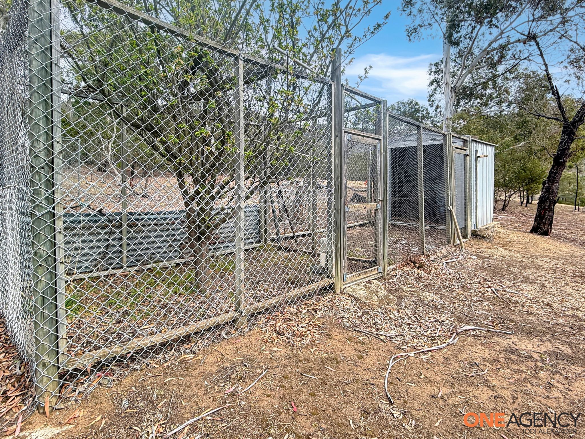 105 Bunyanvale Road, Bunyan For Sale by Farmbuy.com - image 28