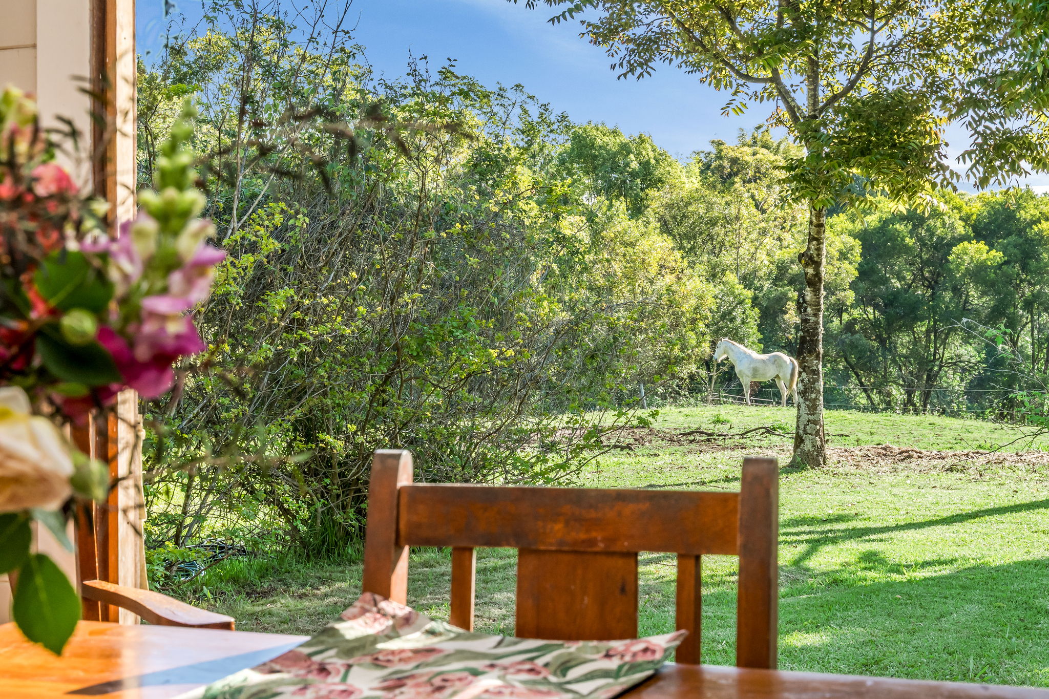 392 TUNTABLE FALLS ROAD, Nimbin For Sale by Farmbuy.com - image 17
