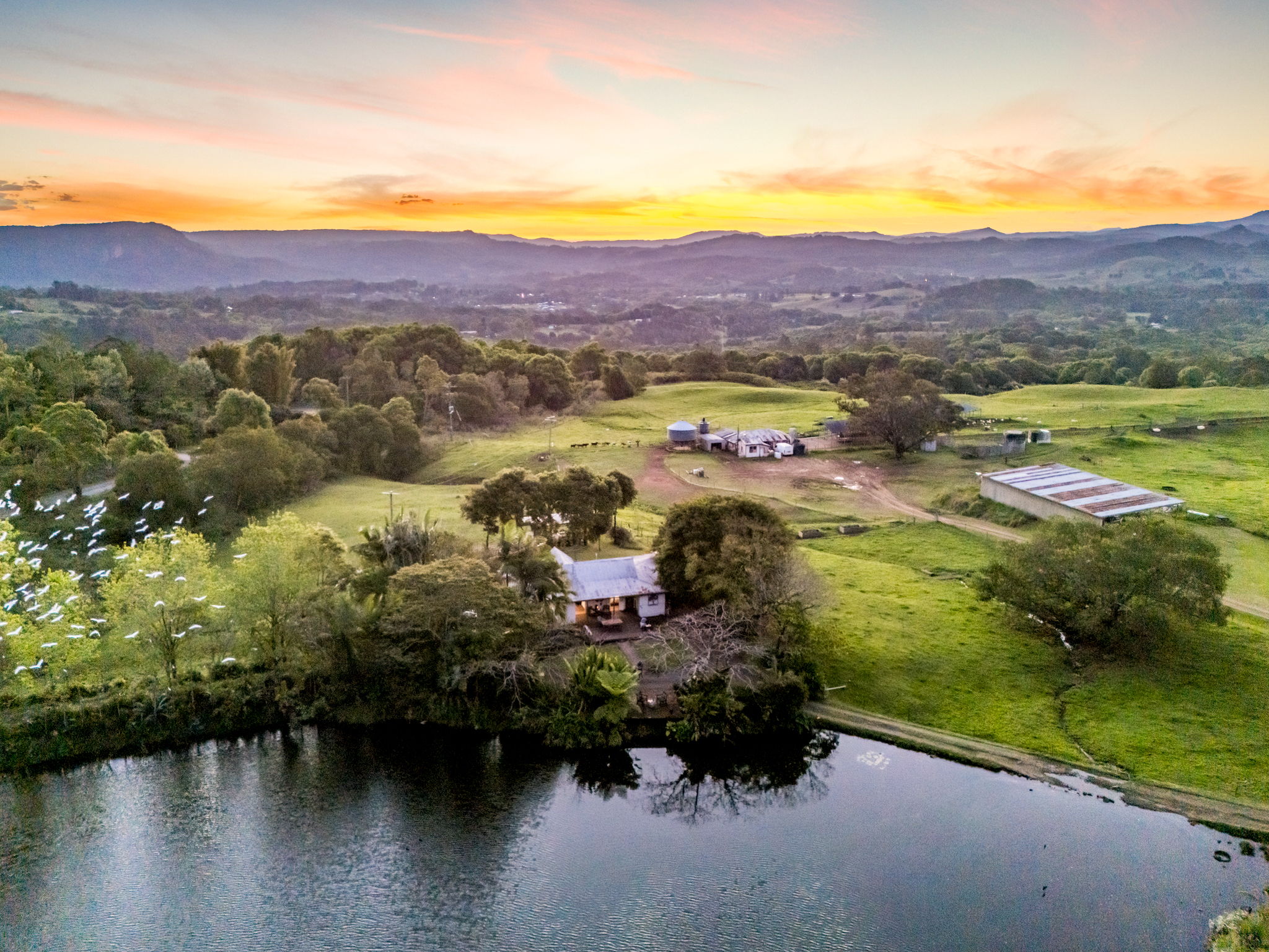 Farm For Sale - NSW - Nimbin - 2480 - A LANDMARK PROPERTY WITH ENDLESS POTENTIAL 