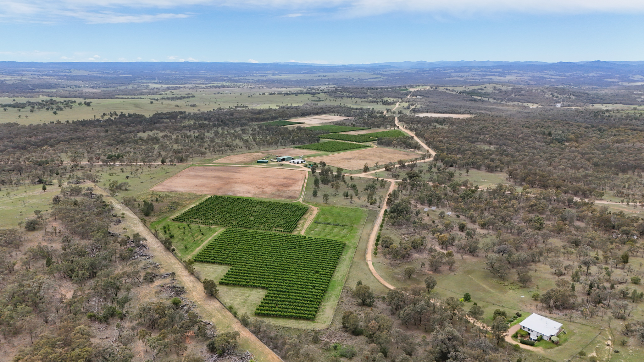 831 Stanthorpe-Inglewood Road, Pikedale QLD 4380