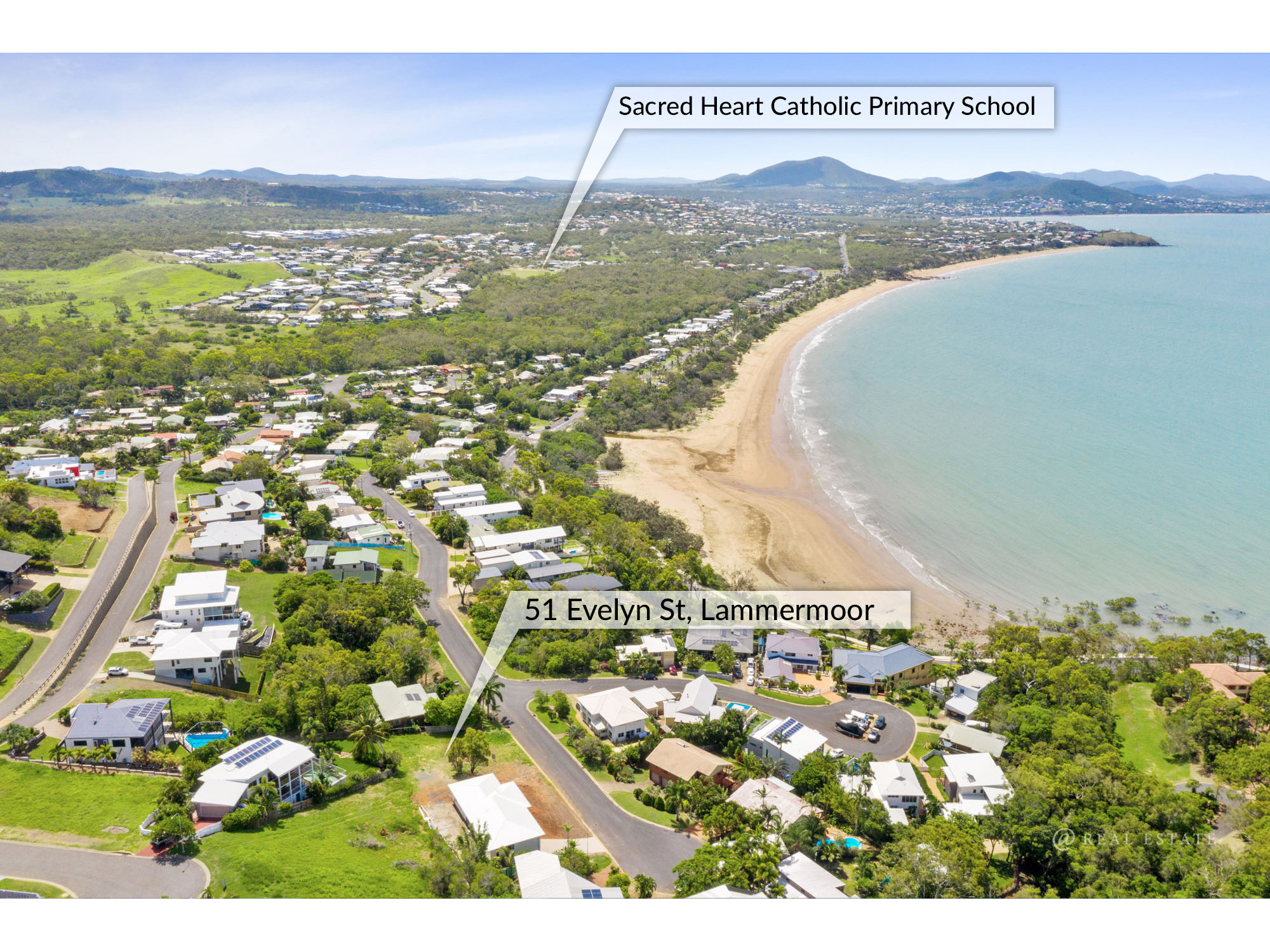 51 Evelyn Street, Lammermoor Real Estate