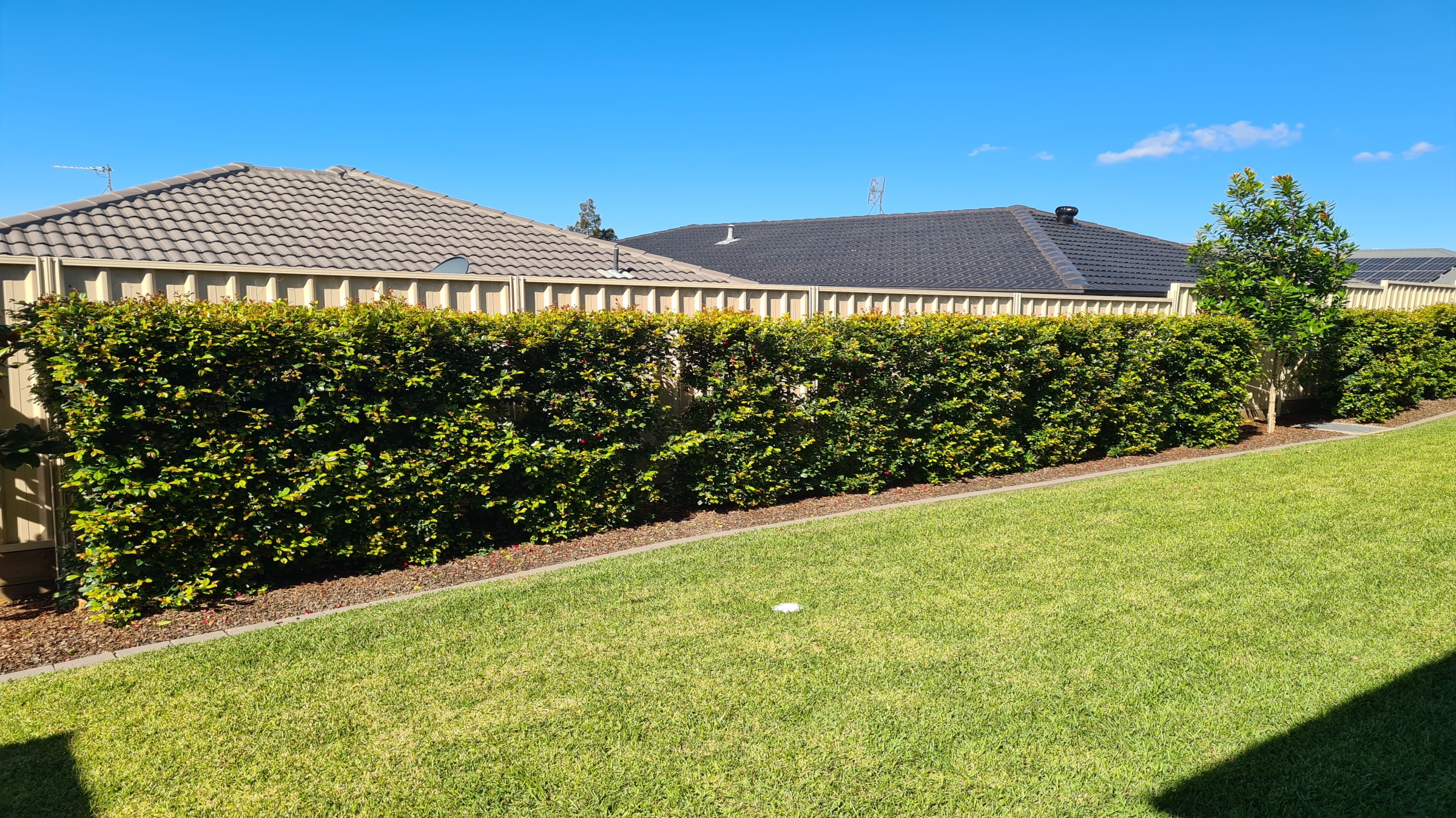 Hamlyn Terrace Property