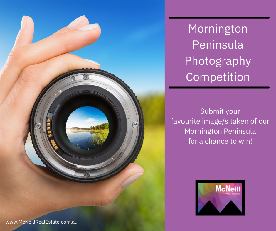 News McNeill Real Estate