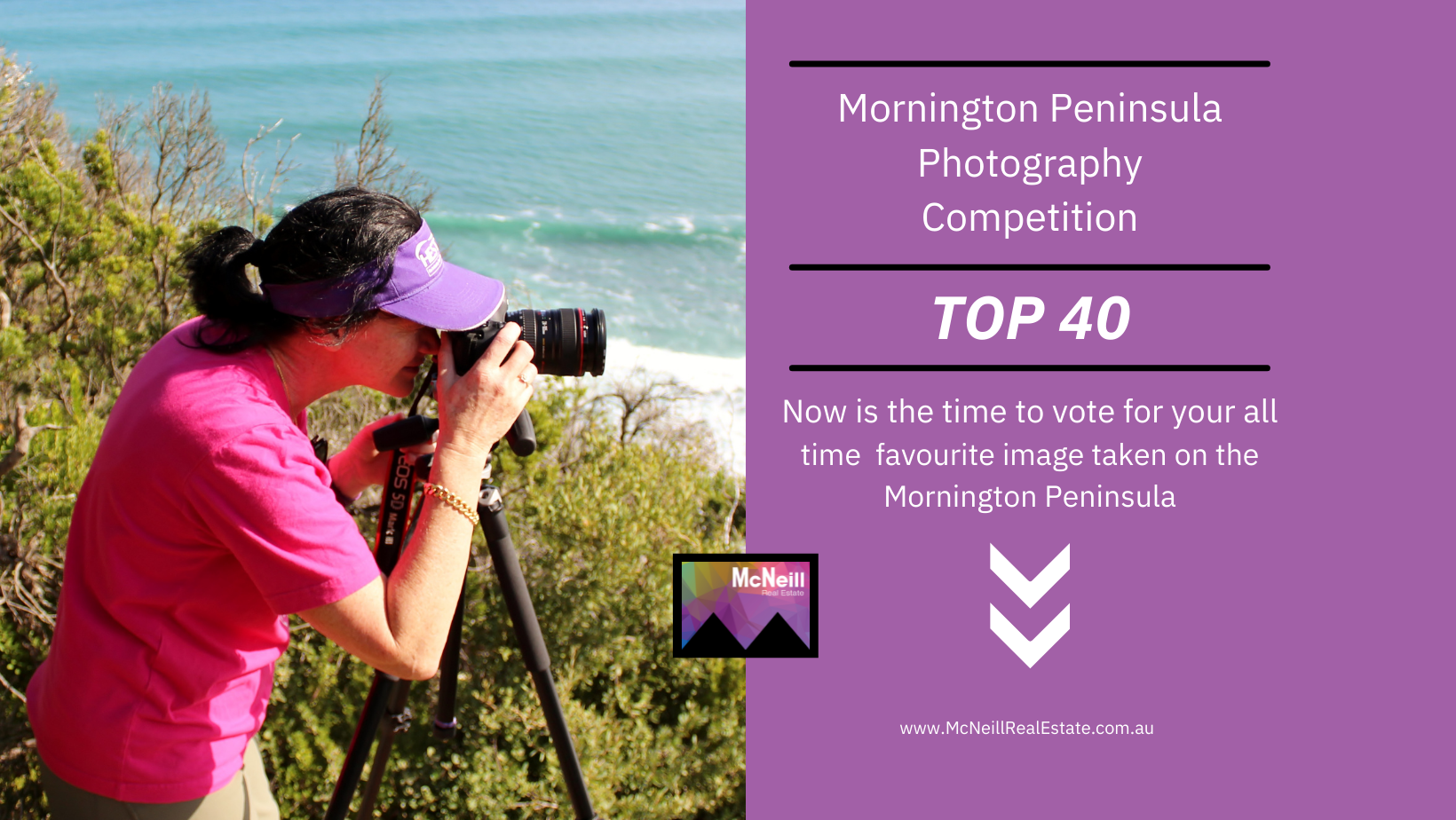 News McNeill Real Estate