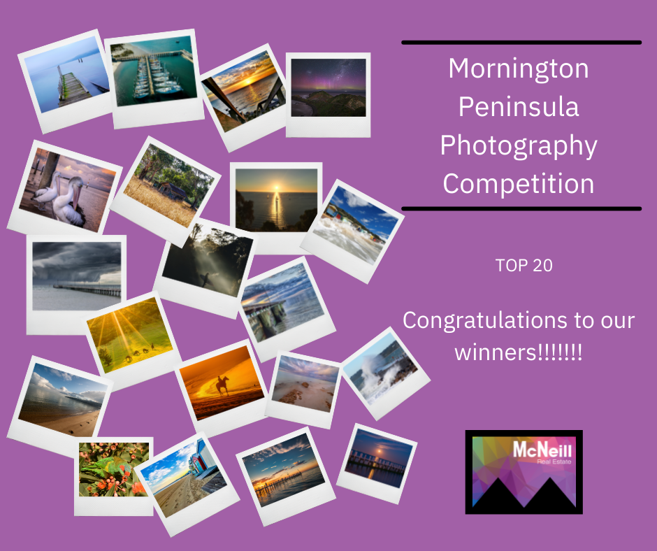 News McNeill Real Estate