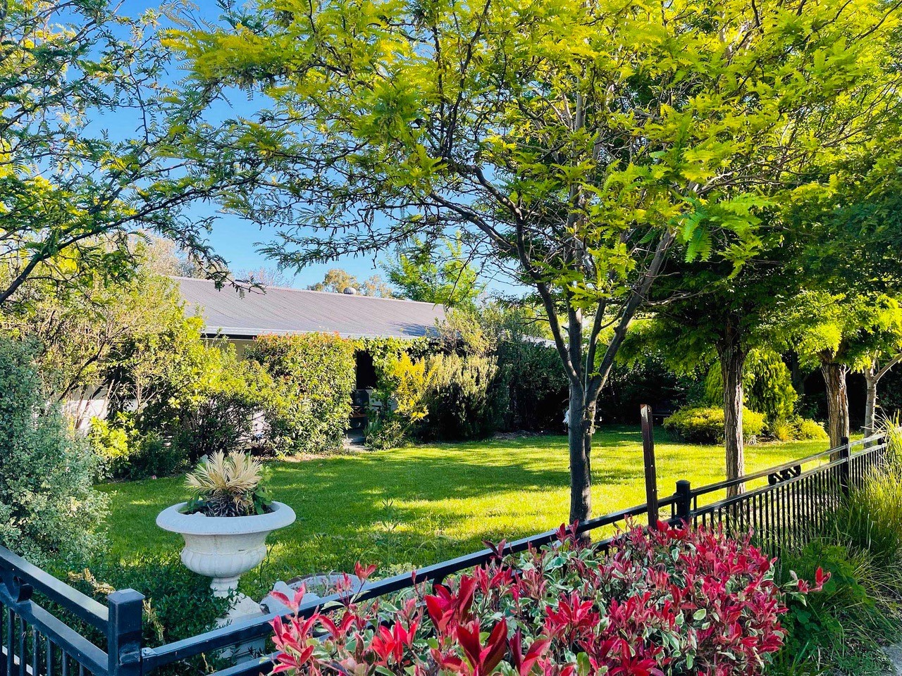 Real Estate Agent Coolah Piper Real Estate