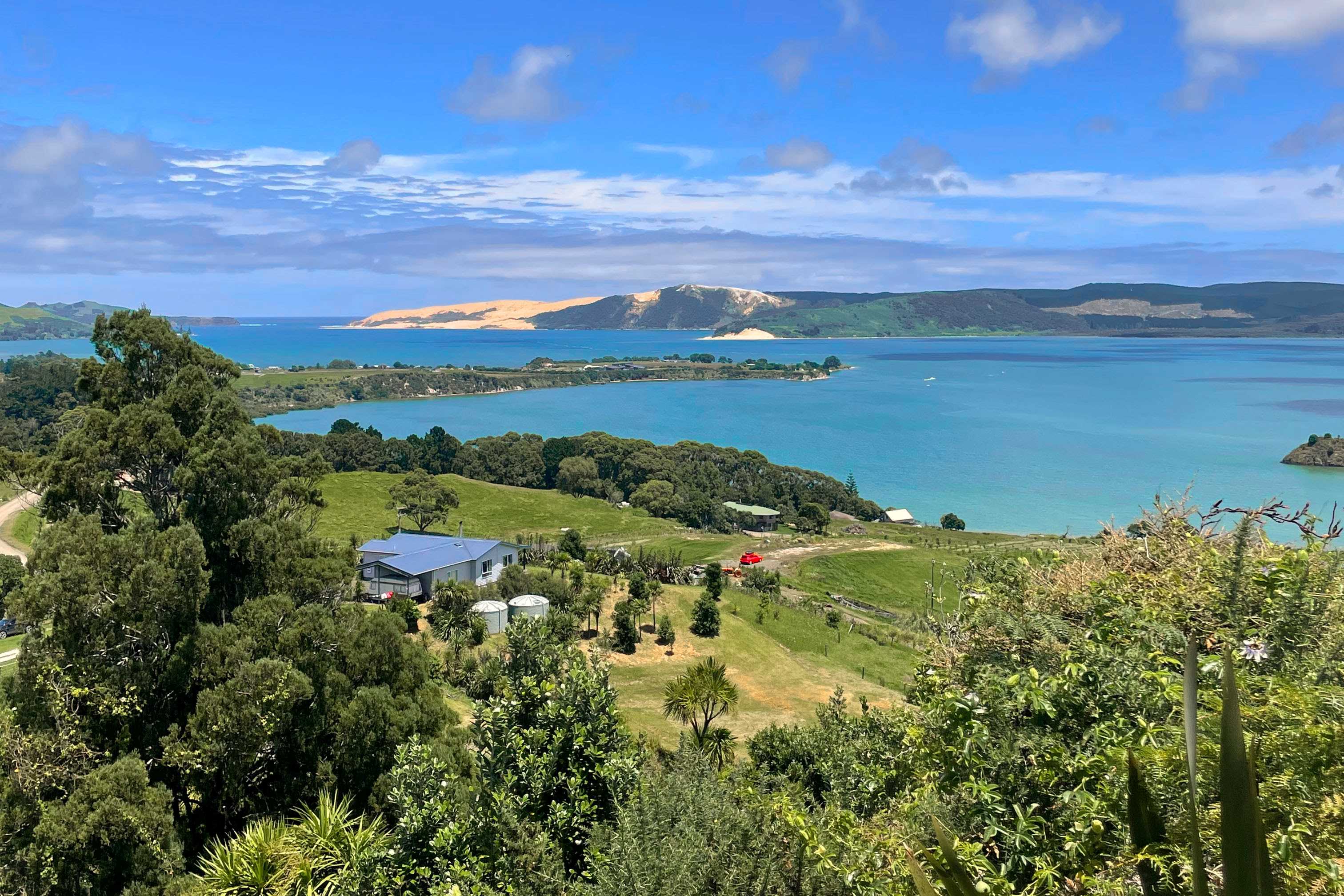 Real Estate Agent Kerikeri One Agency Far North Licensed (REAA 2008)