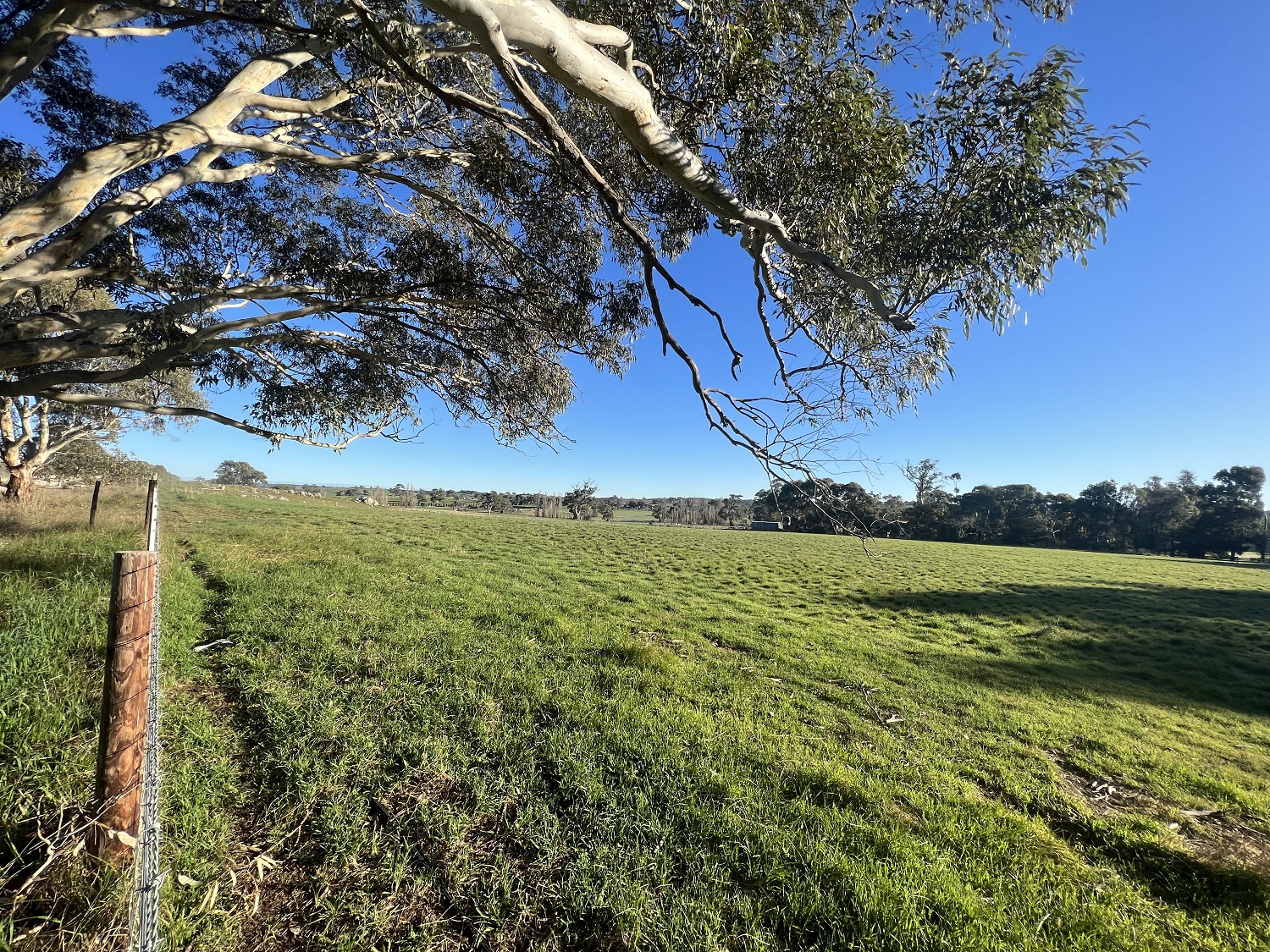 Lot 187, Vigars Road, Eden Valley CE Property Group