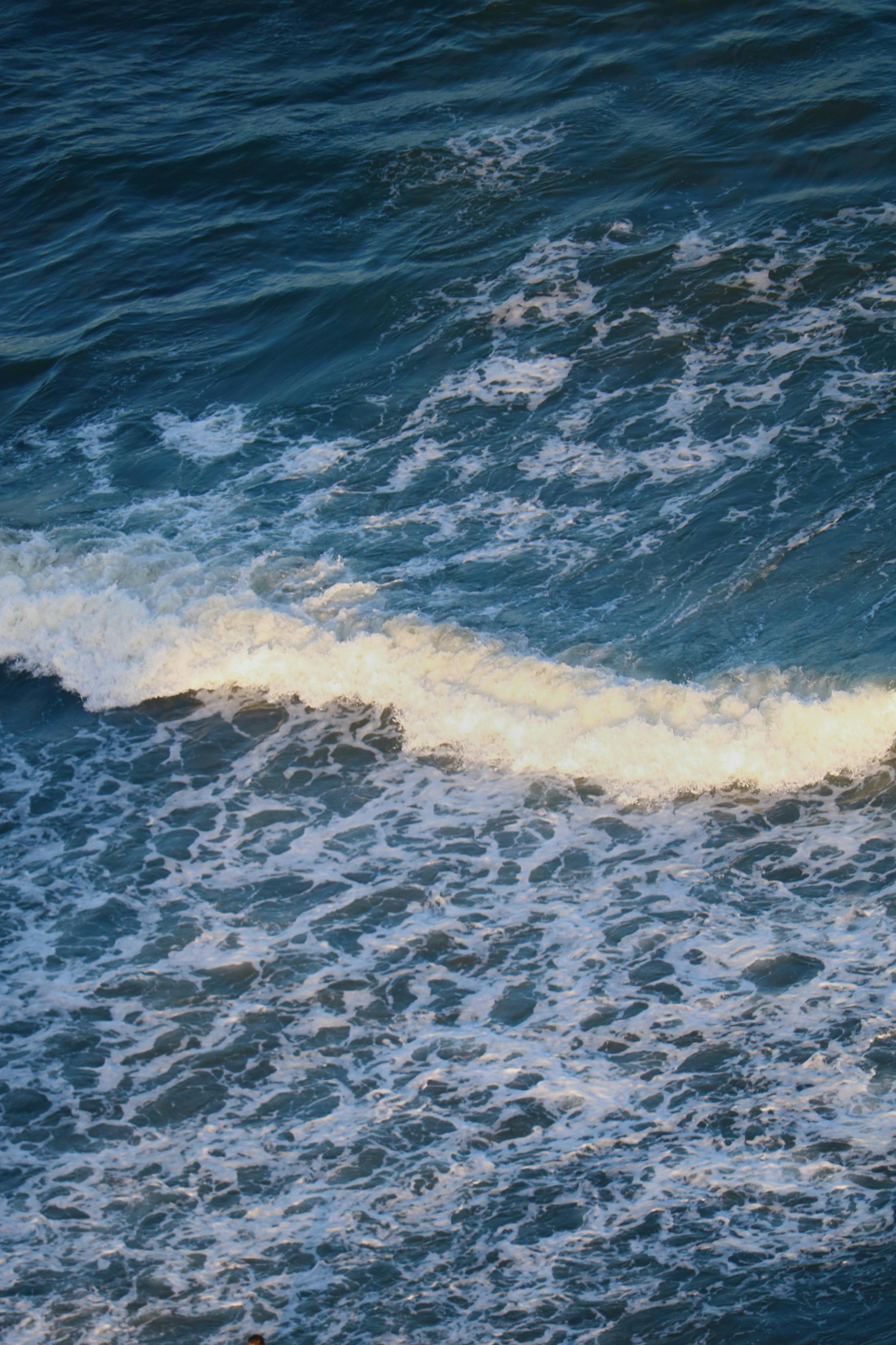 The Northern Rivers Real Estate Market Overview Navigating Trends, Prices, and Future