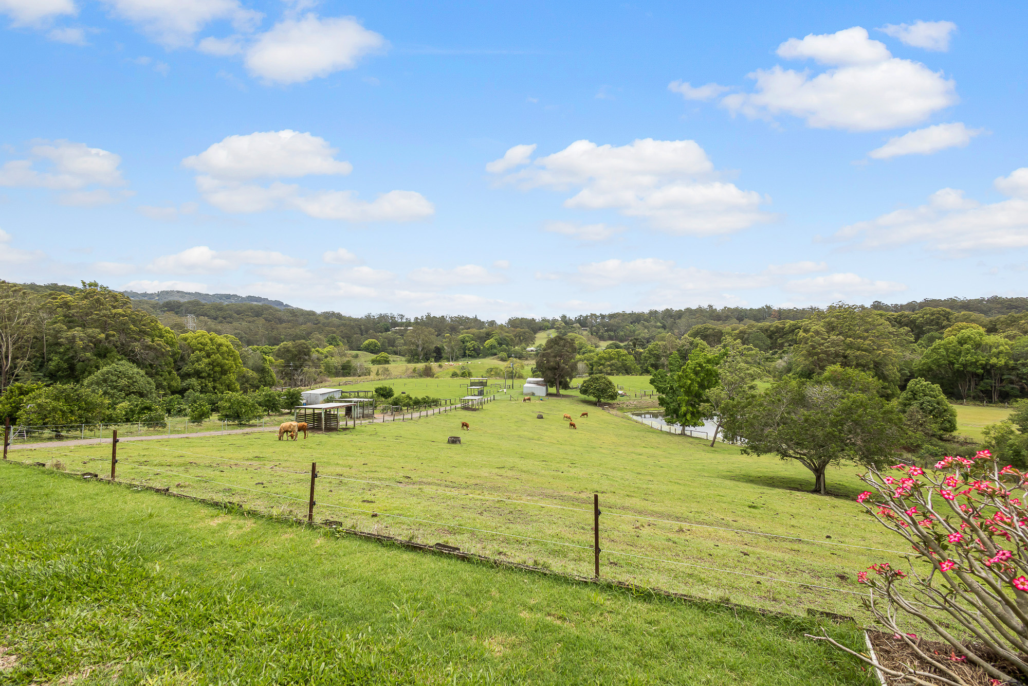 SOLD! Acreage/SemiRural 249 Highlands Road Eudlo QLD 4554