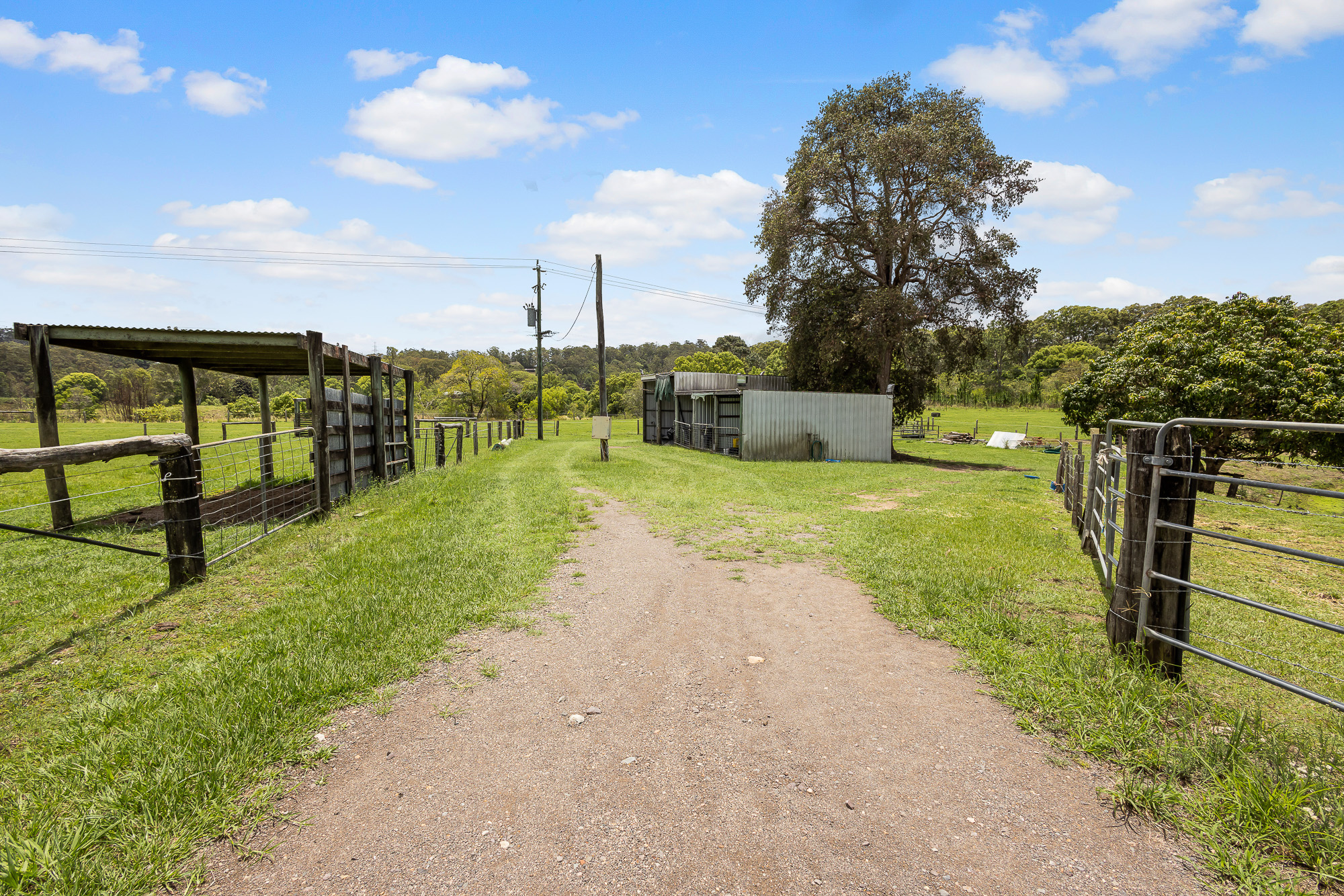 FOR SALE Acreage/SemiRural 249 Highlands Road Eudlo QLD 4554