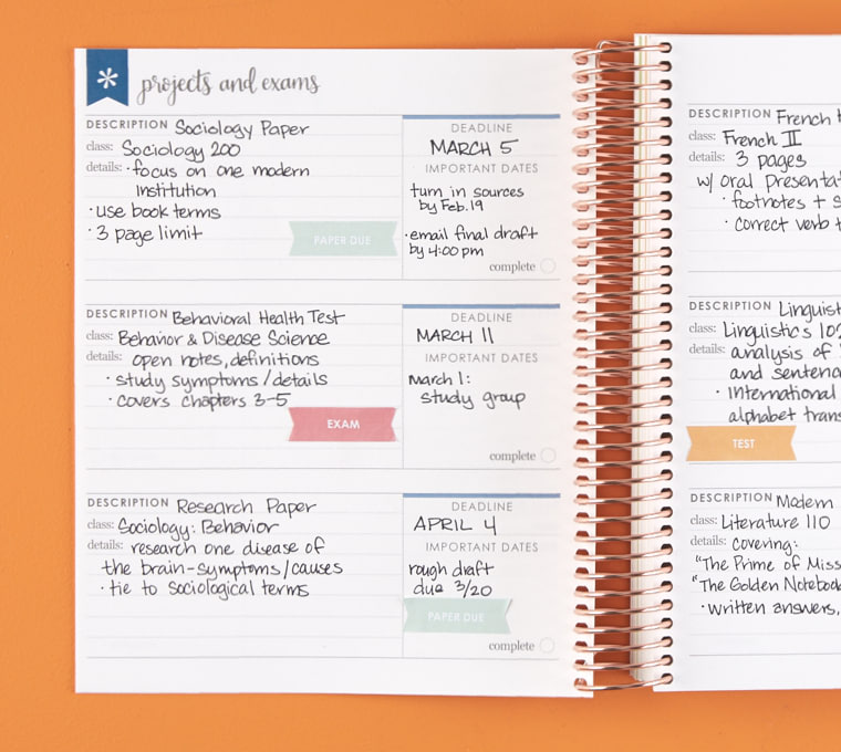 Academic Planners Academic Year Planner Erin Condren