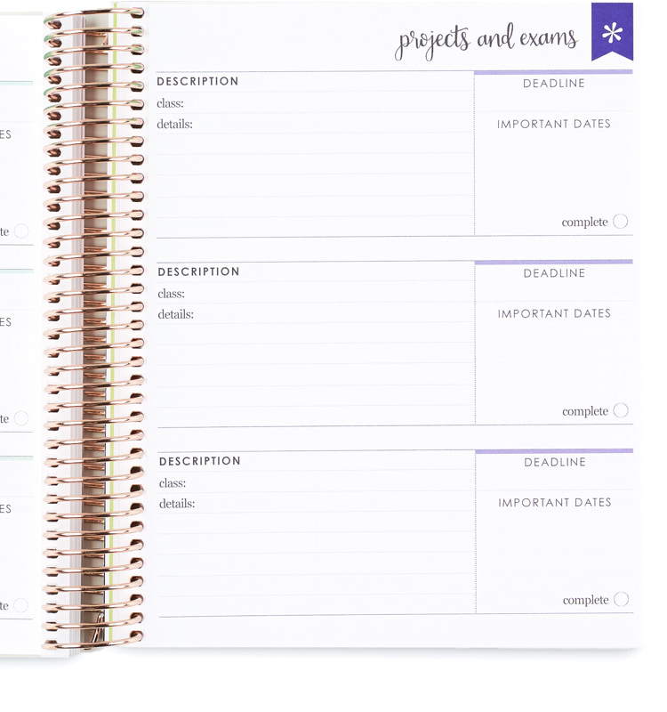academic planners academic year planner erin condren
