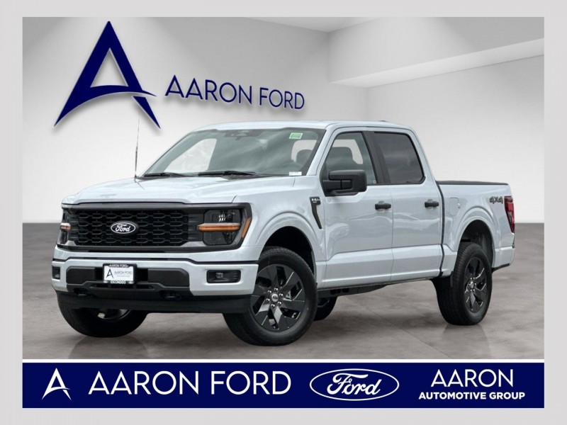 2025 Ford F-150 STX's photo