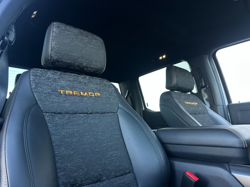 2025 Ford F-150 Tremor 1FTFW4L81SFC47139
