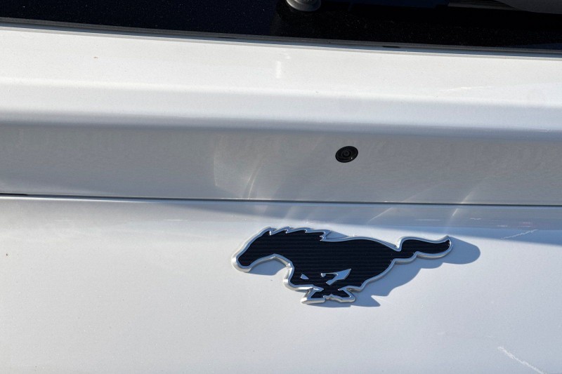 2024 Ford Mustang Mach-E Select 3FMTK1SU0RMA27959