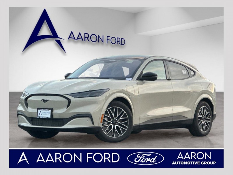 2025 Ford Mustang Mach-E Premium 3FMTK3R44SMA56338