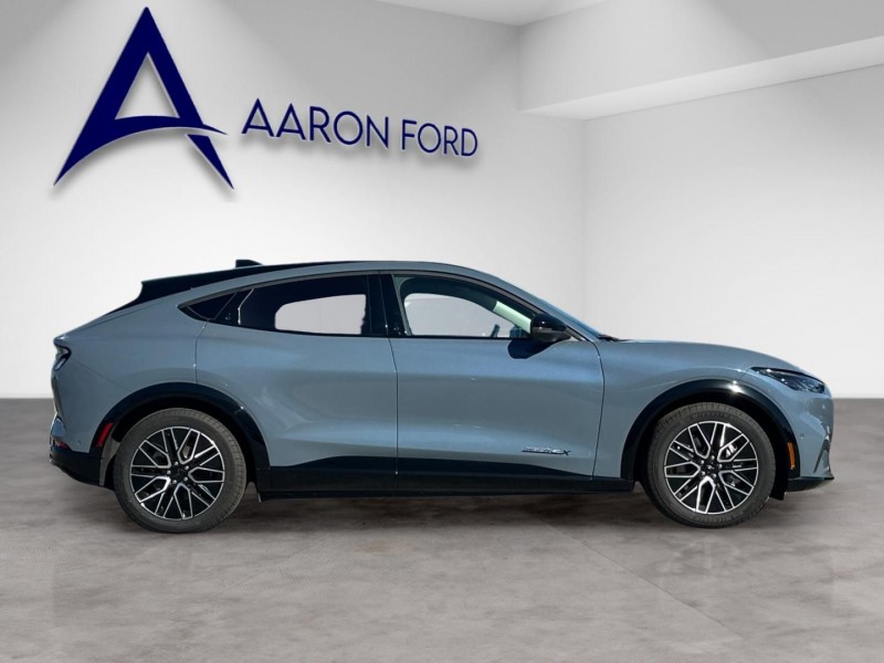 2024 Ford Mustang Mach-E Premium 3FMTK3R70RMA23194