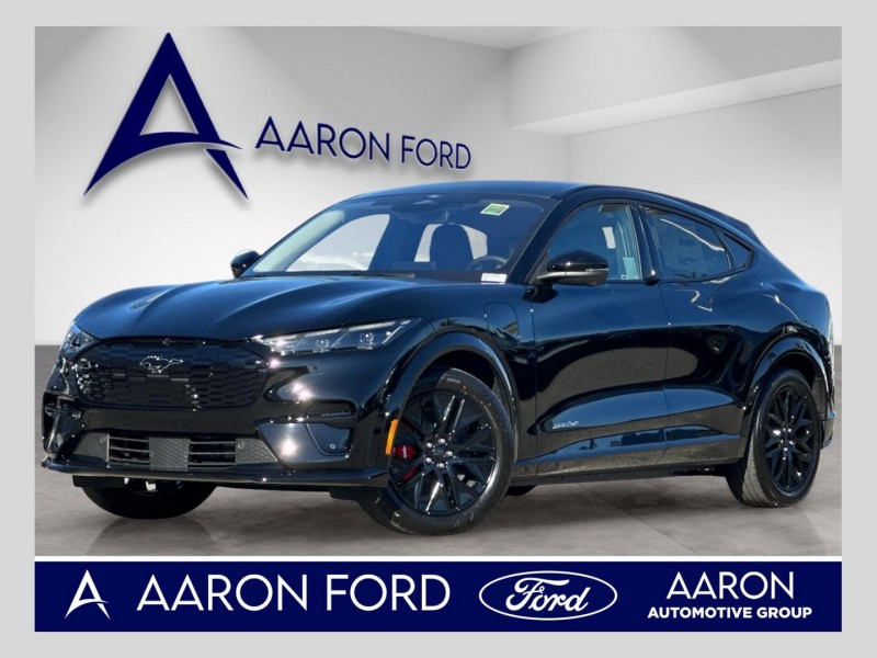 2025 Ford Mustang Mach-E Premium 3FMTK3R71SMA53388