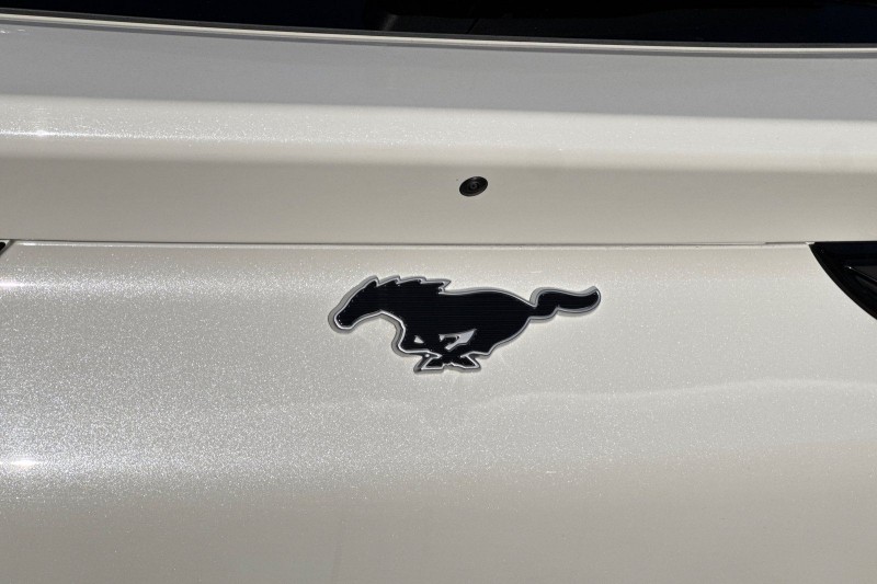 2024 Ford Mustang Mach-E Premium 3FMTK3R73RMA22587