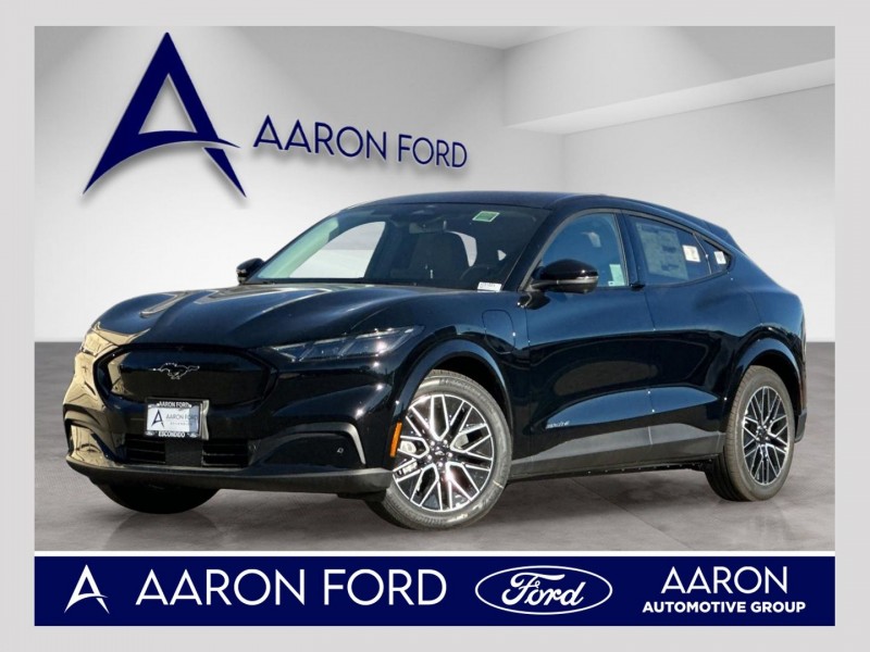 2025 Ford Mustang Mach-E Premium 3FMTK3R73SMA53182