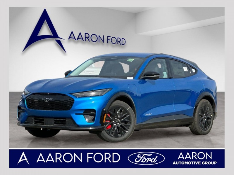 2025 Ford Mustang Mach-E Premium 3FMTK3R73SMA53795